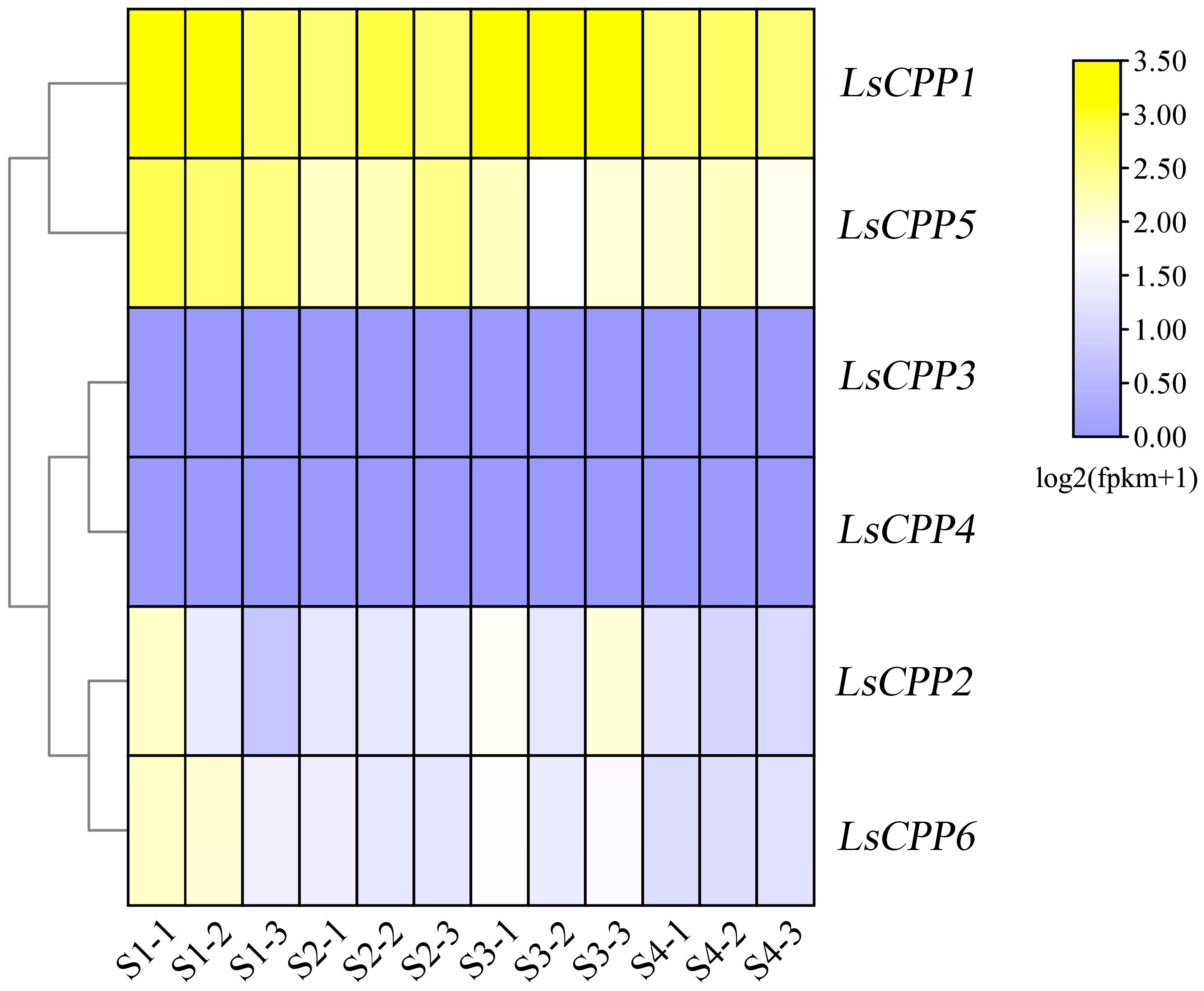 Agronomy 15 02120 g007 Agronomy 15 02120 g007