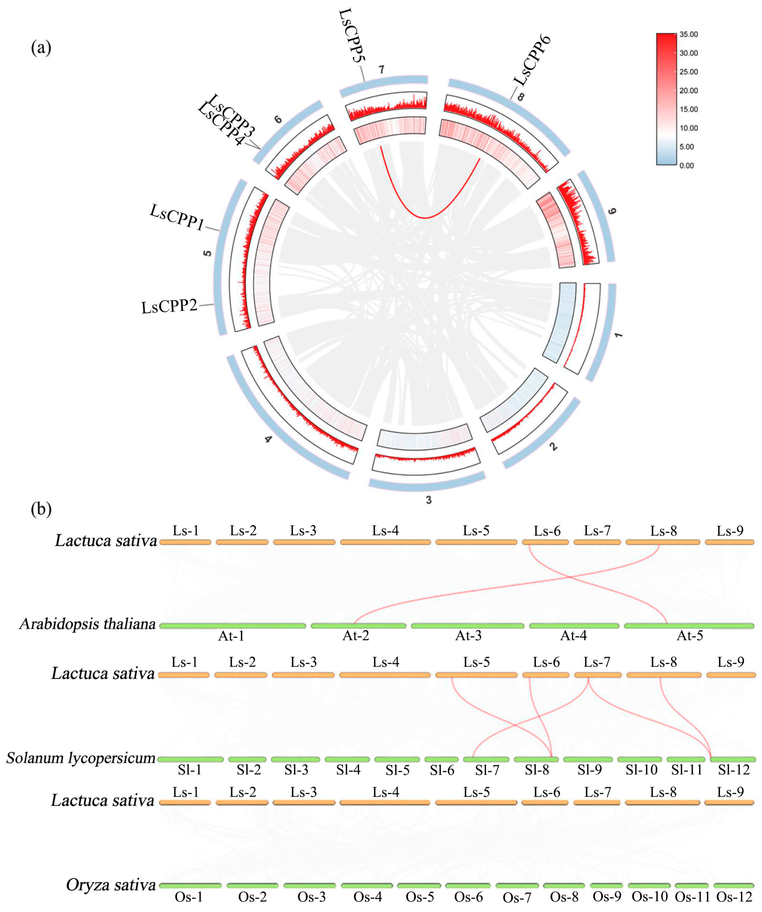 Agronomy 15 02120 g011 Agronomy 15 02120 g011