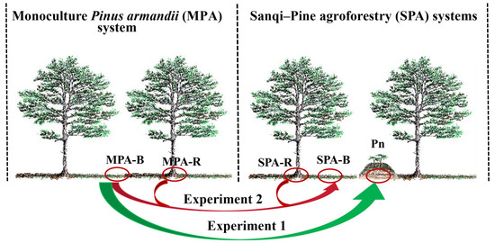 Effects of Sanqi Cultivation on Soil Fertility and Heavy Metal