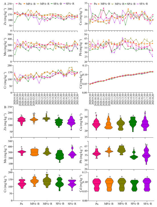 Effects of Sanqi Cultivation on Soil Fertility and Heavy Metal