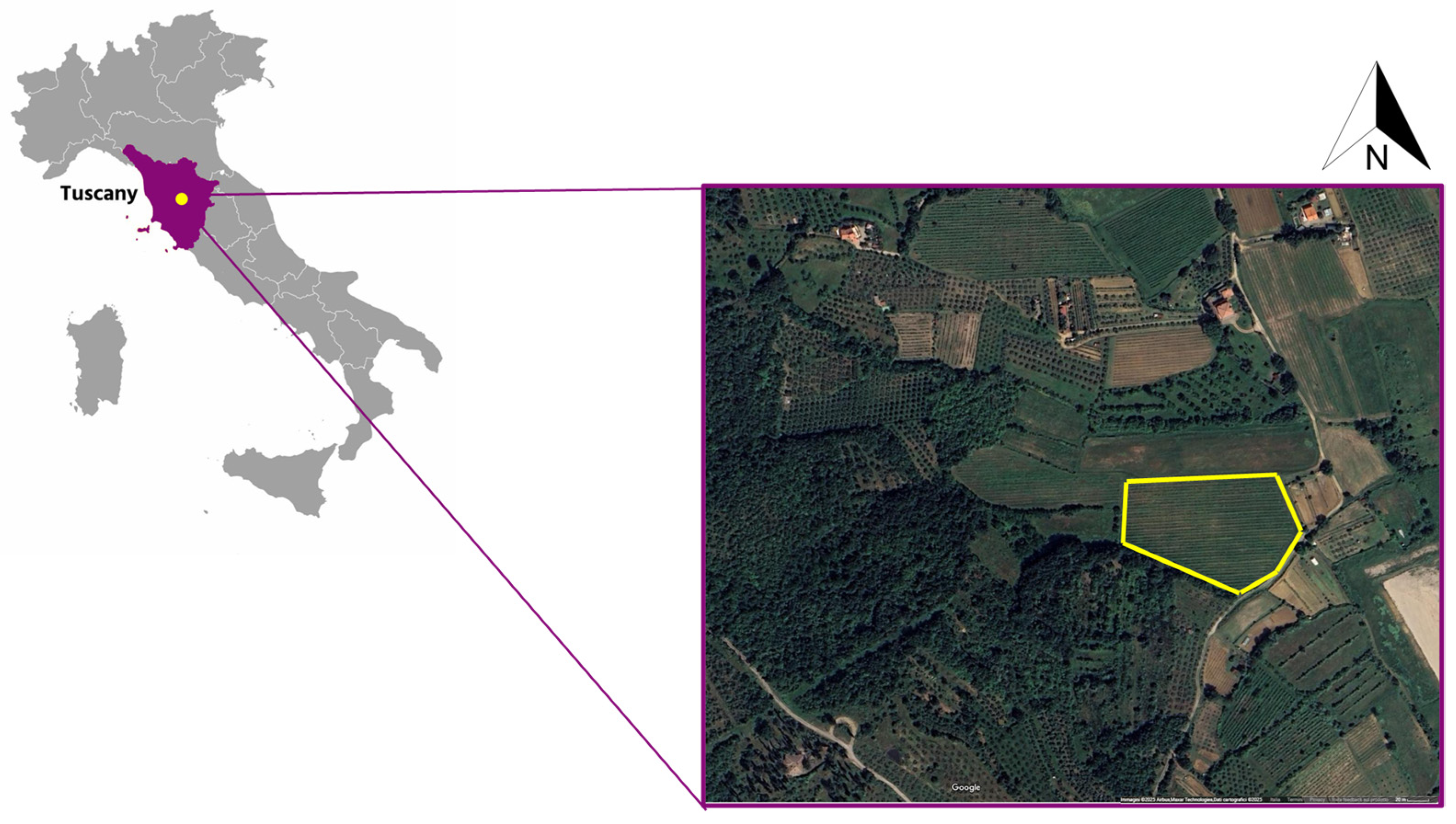 Agronomy 15 02124 g001