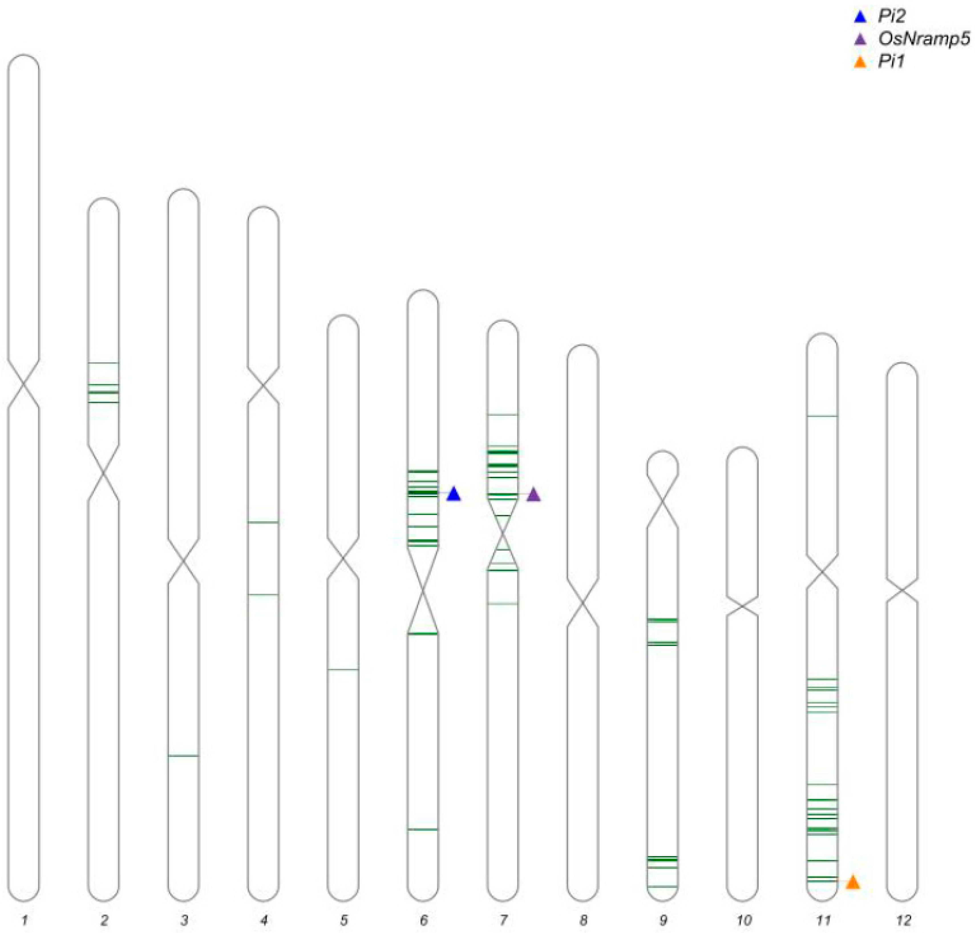 Agronomy 15 02130 g003