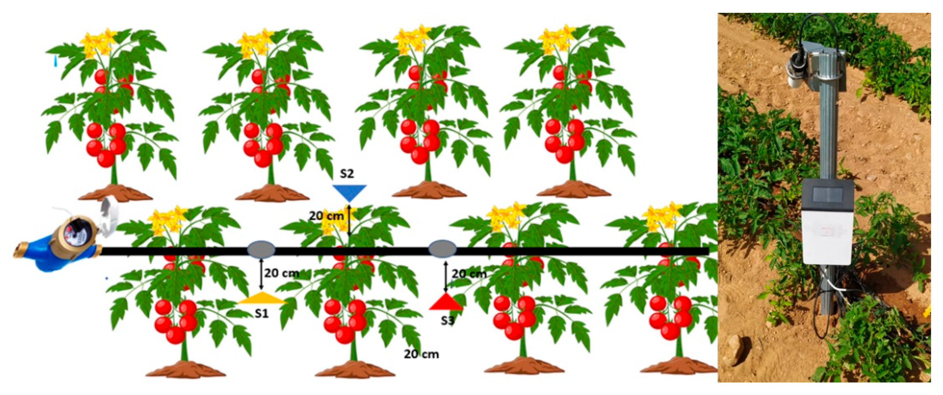 Agronomy 15 02132 g002 Agronomy 15 02132 g002