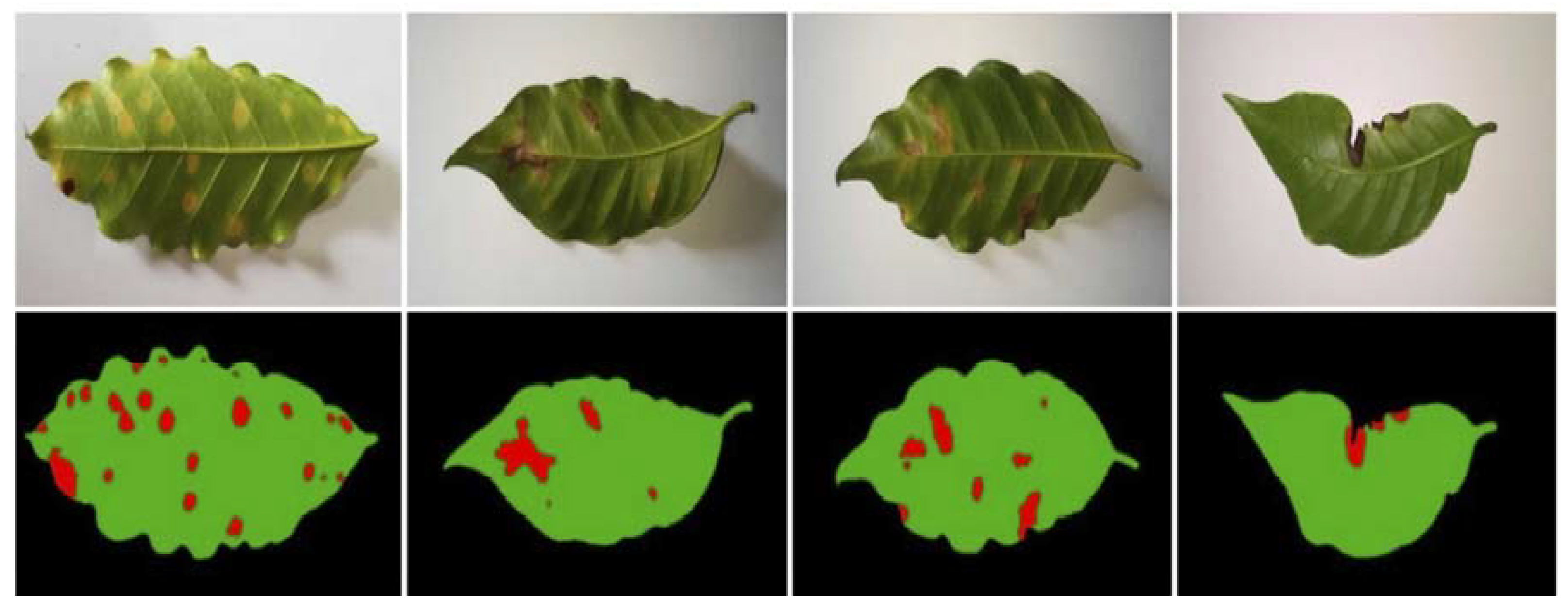 Agronomy 15 02147 g004