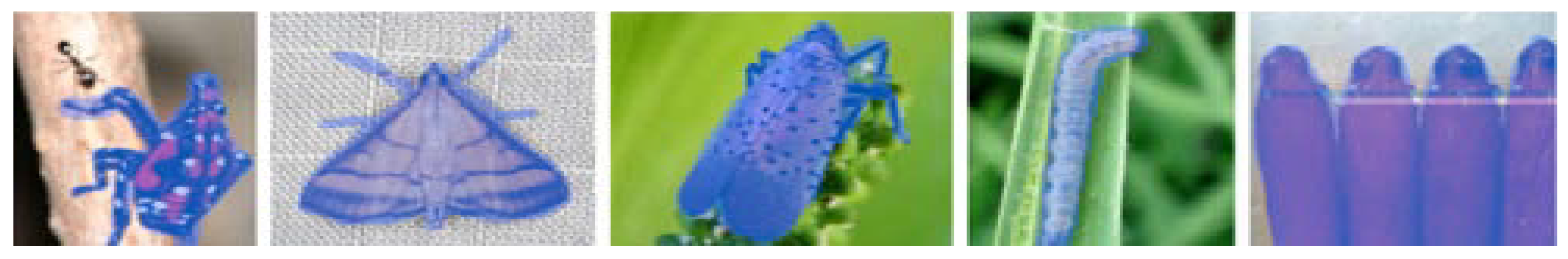 Agronomy 15 02147 g006