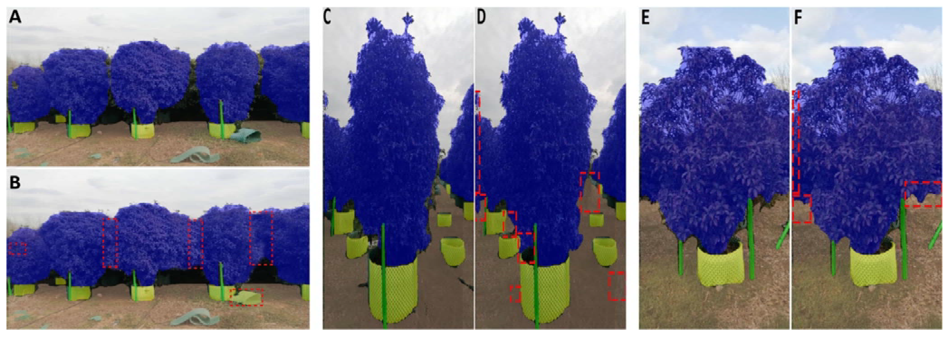 Agronomy 15 02147 g008