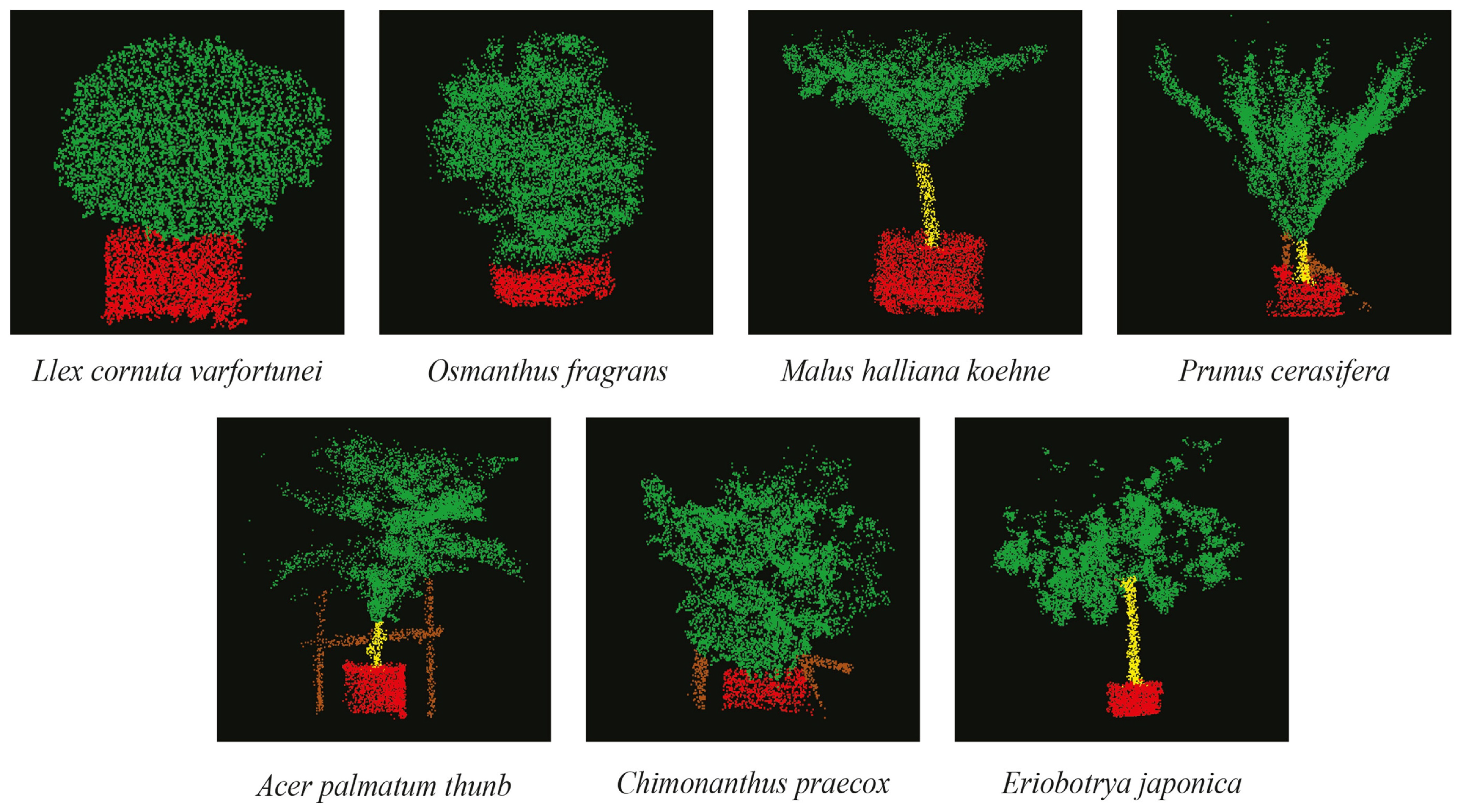 Agronomy 15 02147 g009