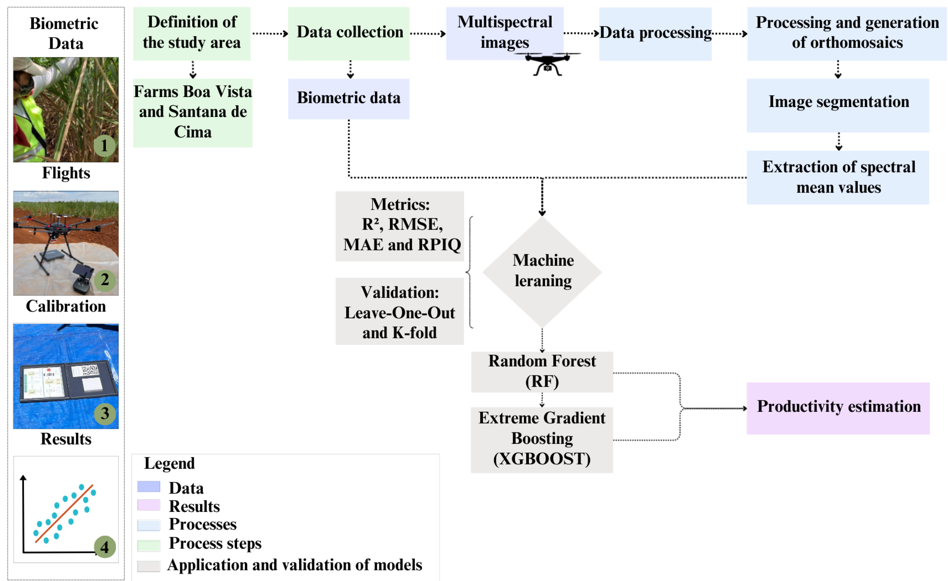Agronomy 15 02149 g001