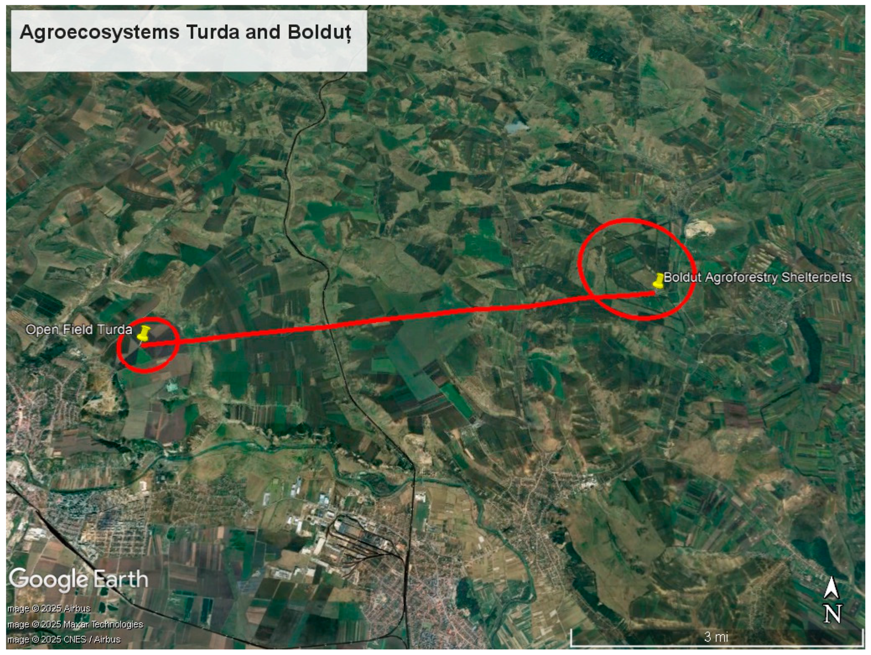 Agronomy 15 02153 g001