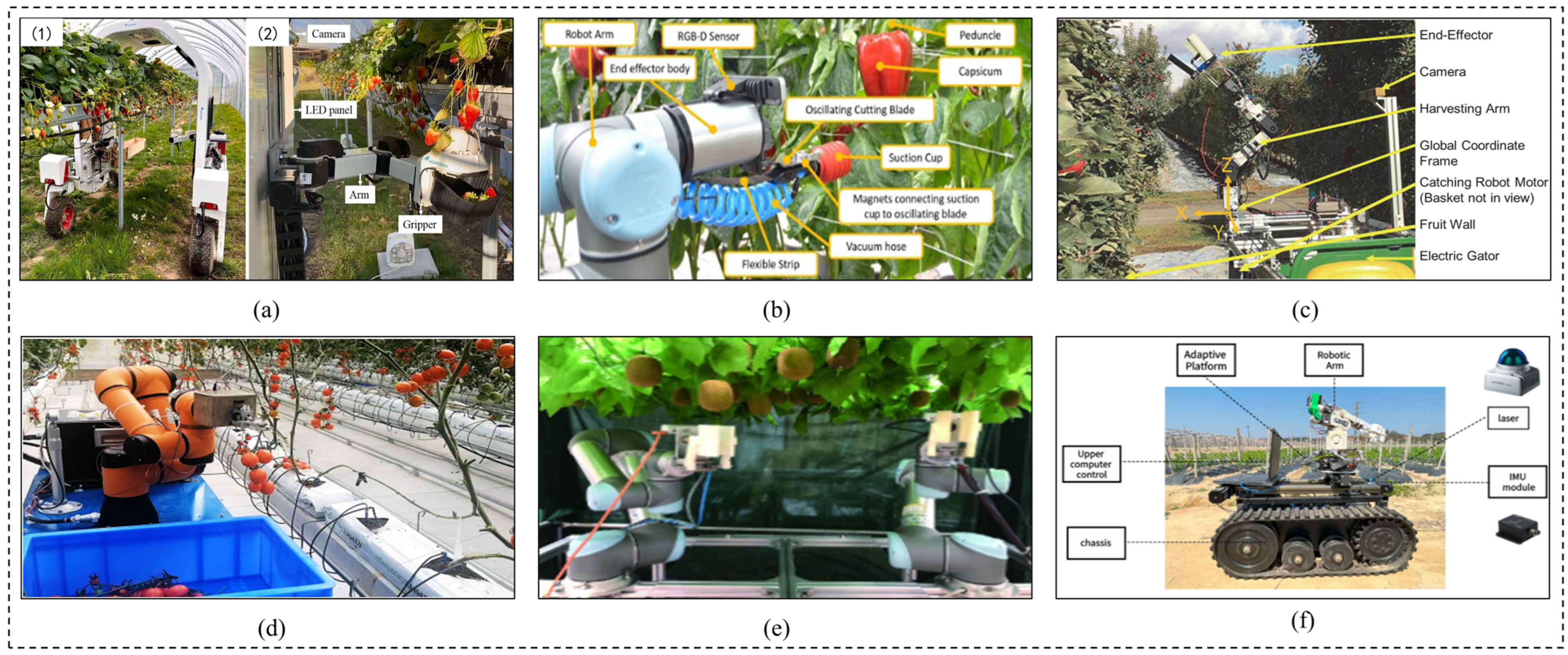 Agronomy 15 02163 g002