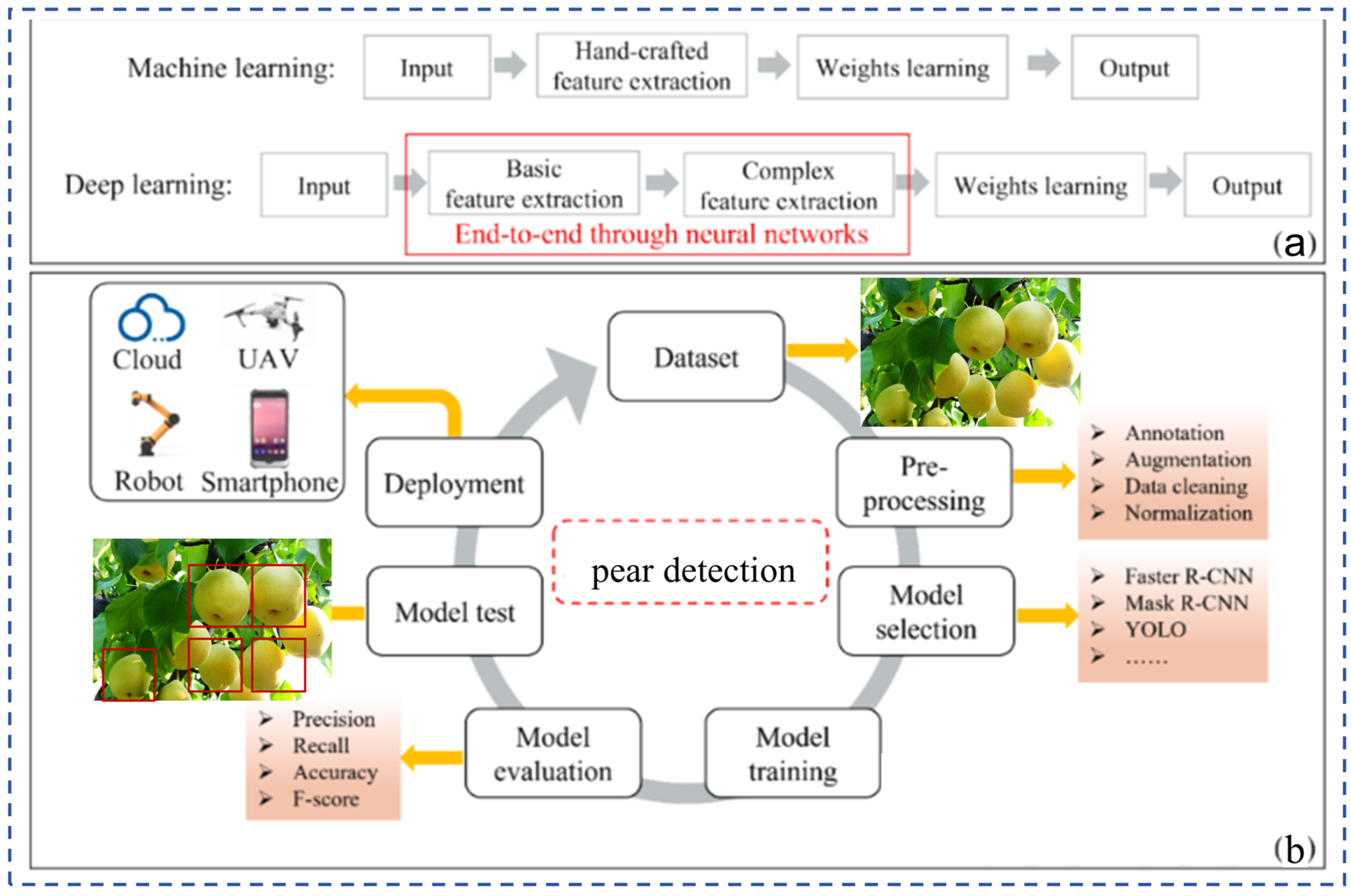 Agronomy 15 02163 g004