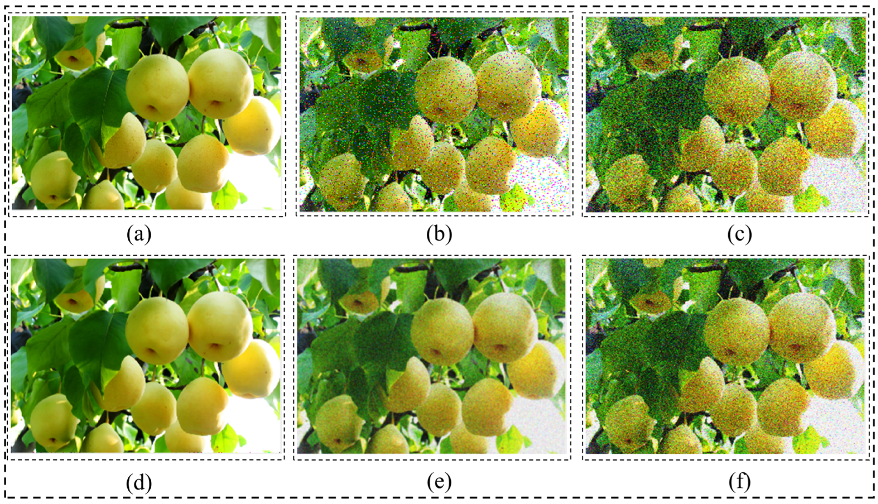 Agronomy 15 02163 g006