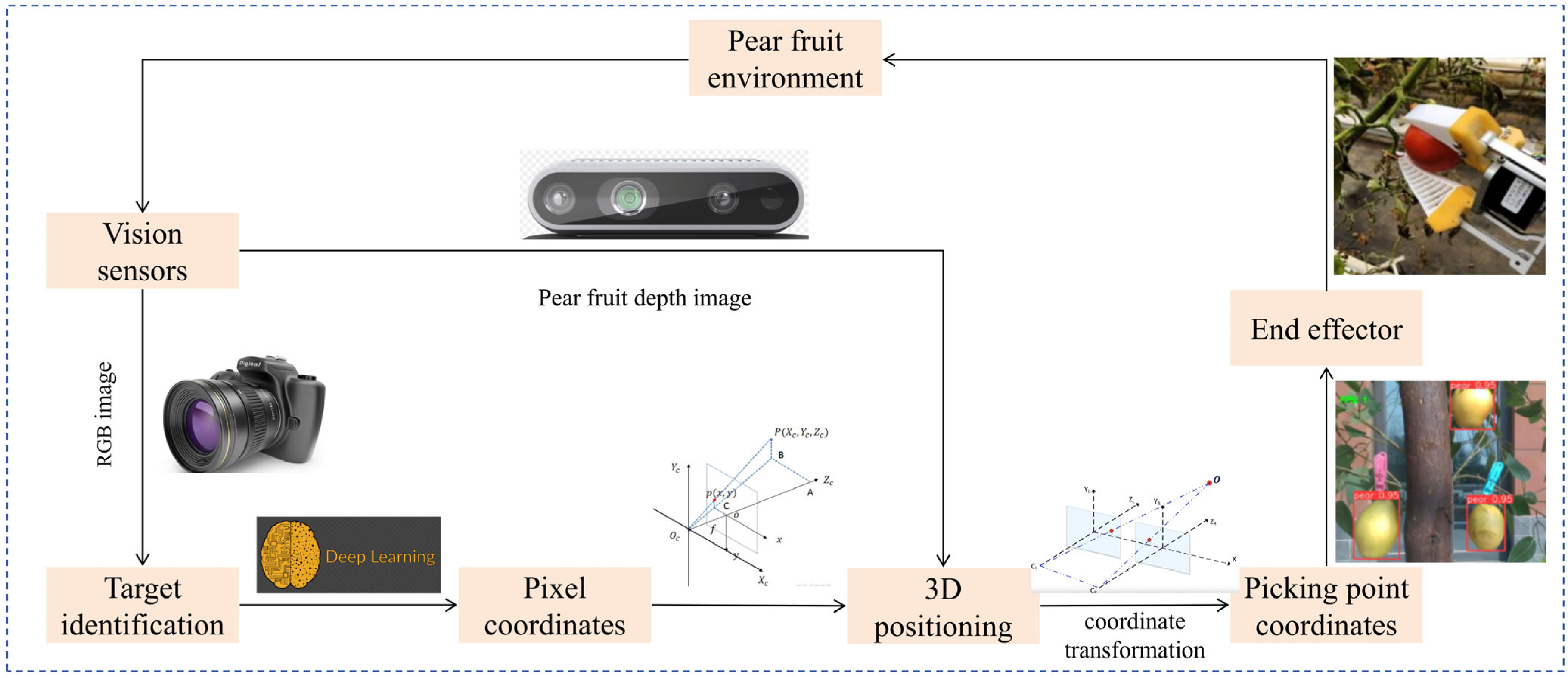 Agronomy 15 02163 g008
