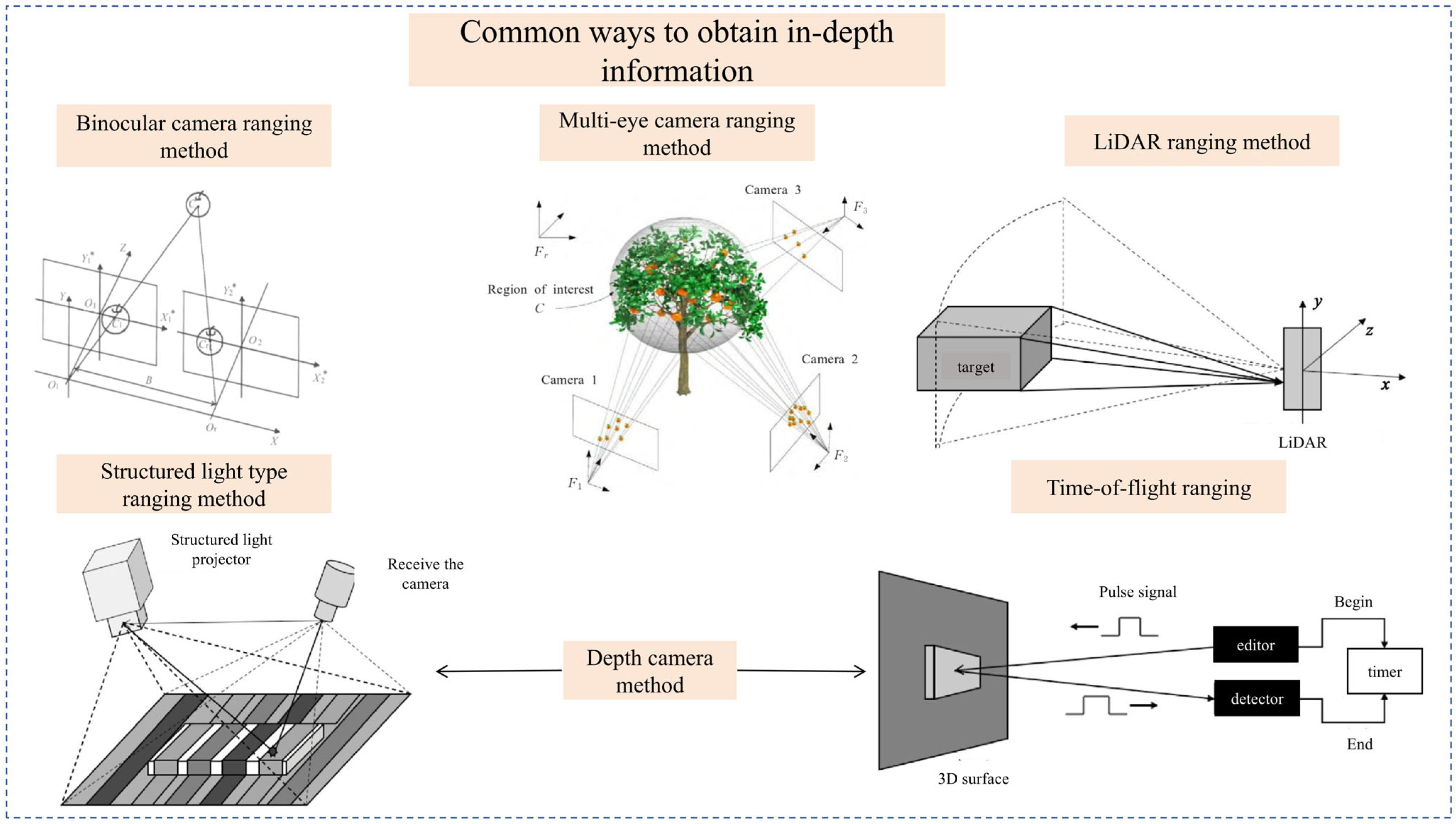 Agronomy 15 02163 g009