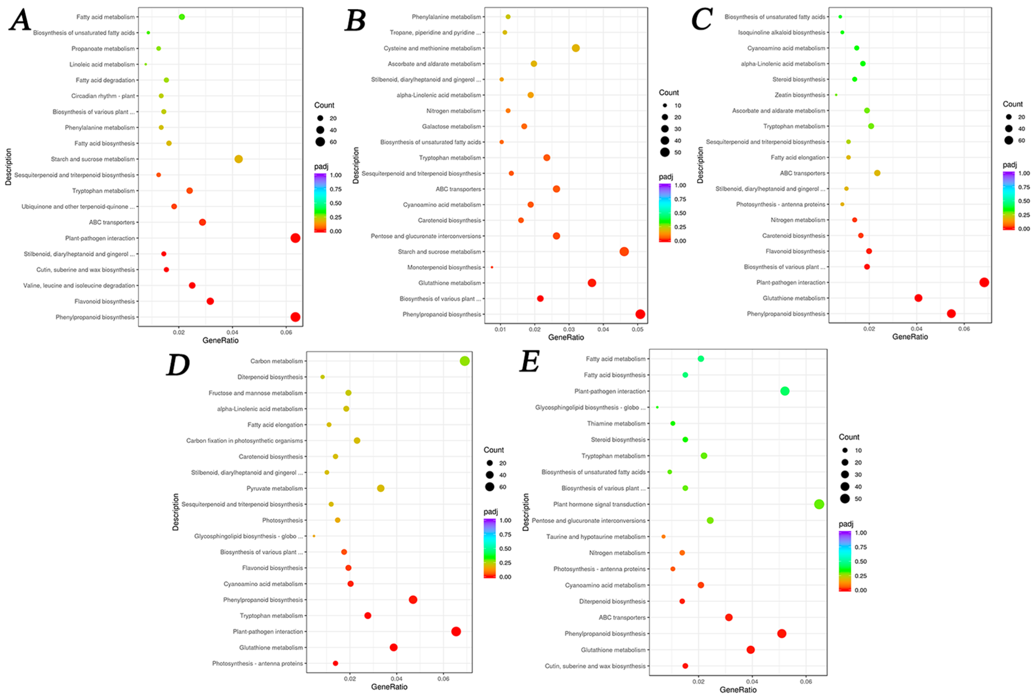 Agronomy 15 02165 g007 Agronomy 15 02165 g007