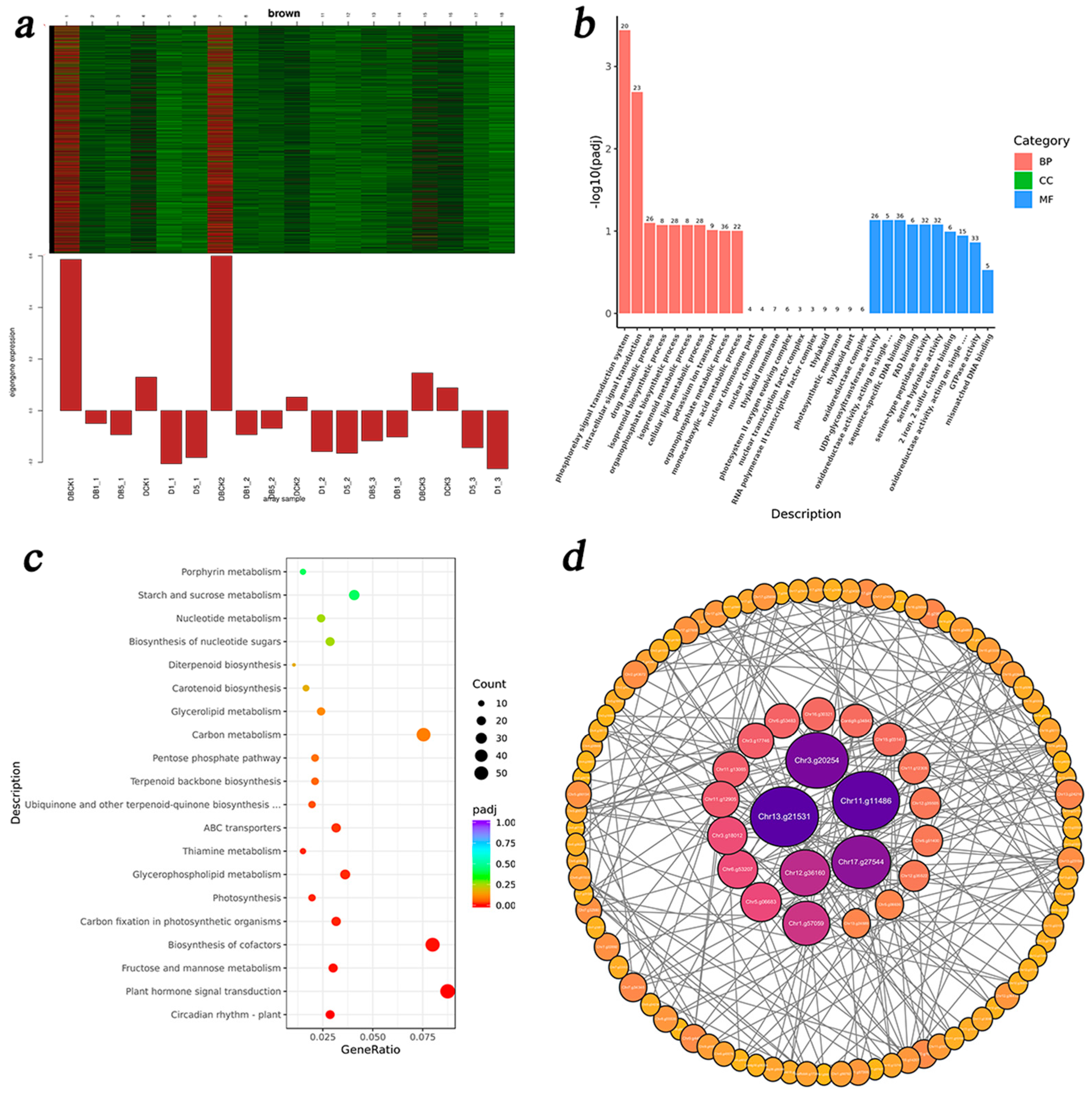 Agronomy 15 02165 g010a Agronomy 15 02165 g010a
