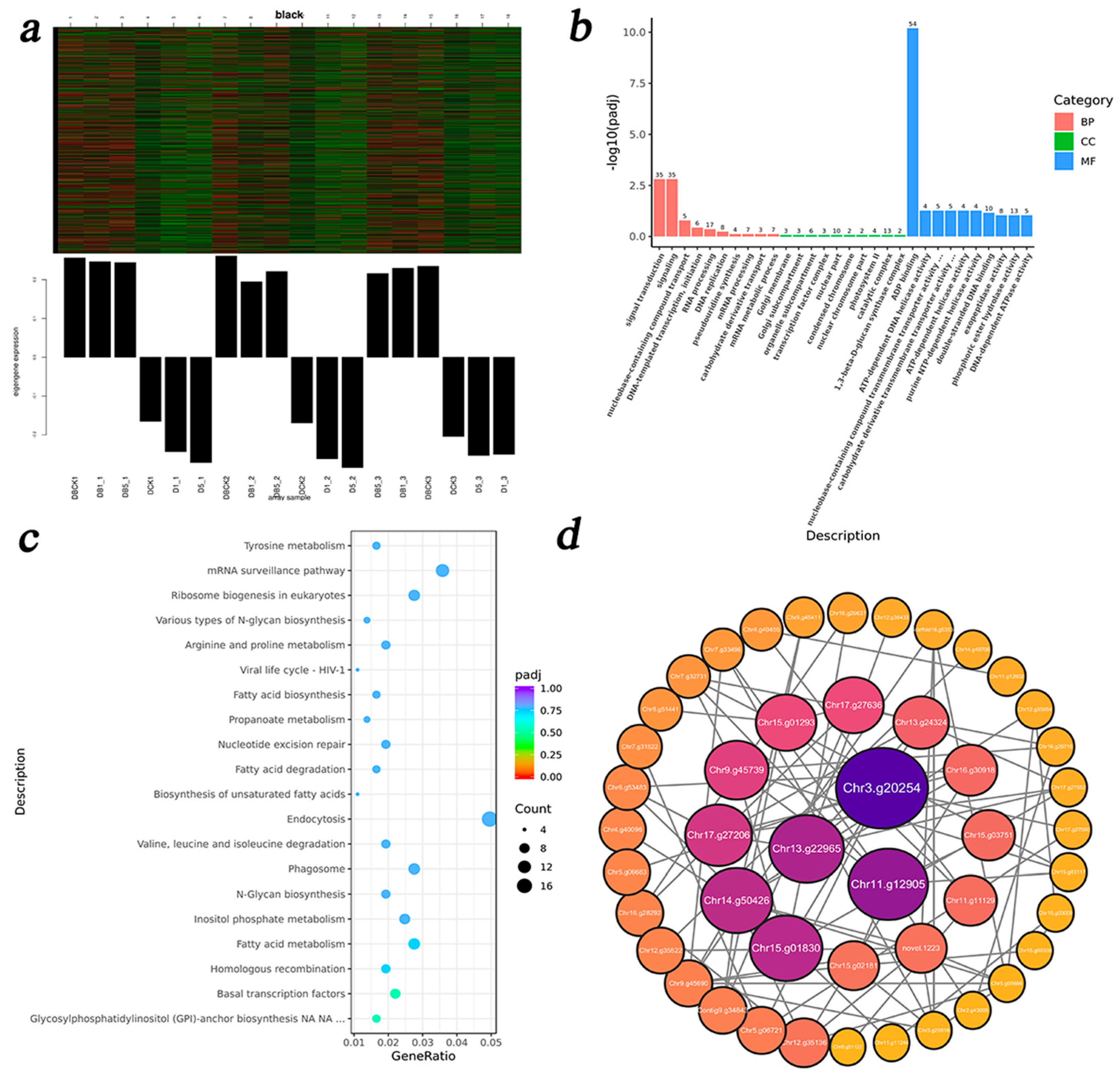 Agronomy 15 02165 g011a Agronomy 15 02165 g011a