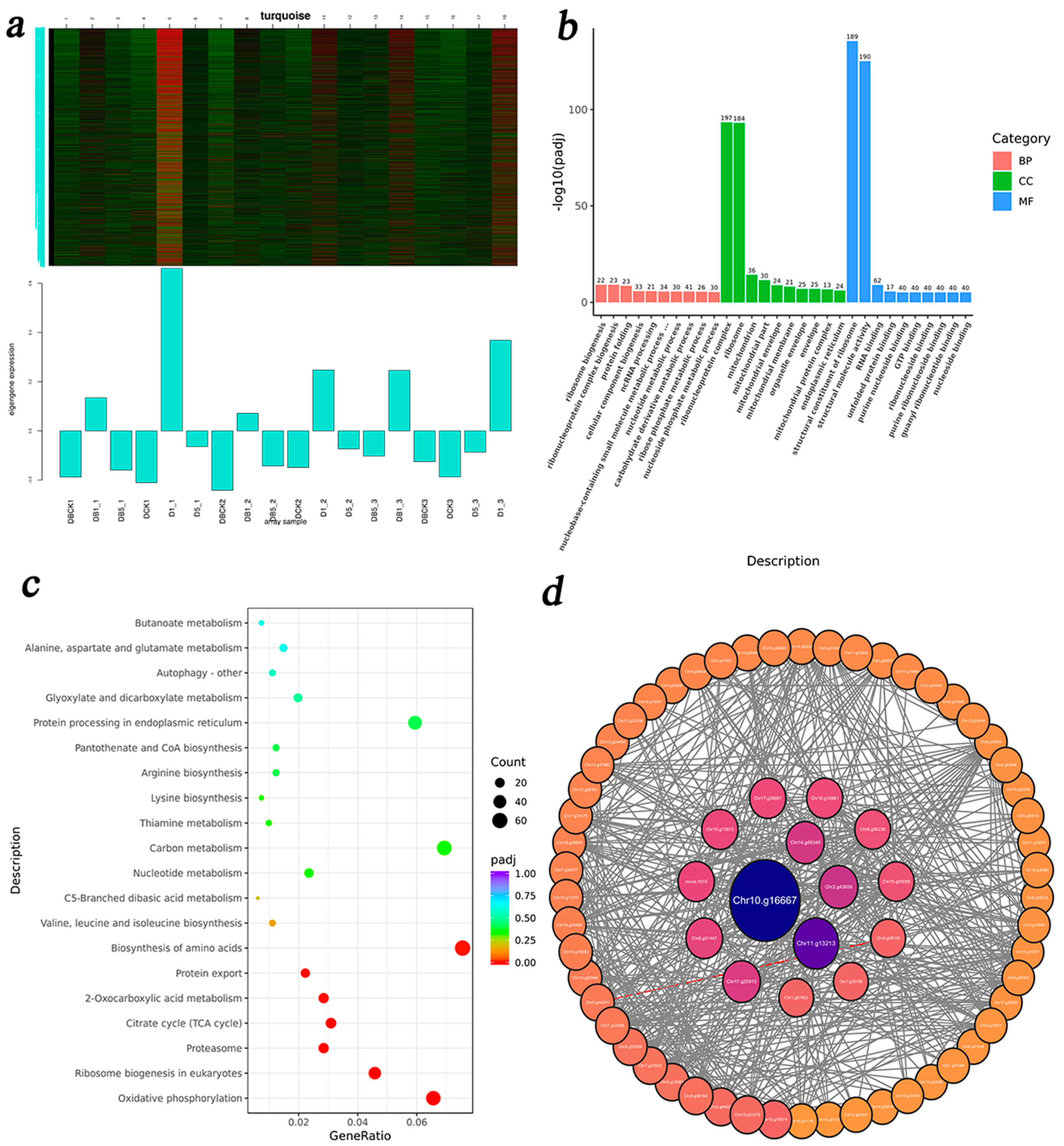 Agronomy 15 02165 g012a Agronomy 15 02165 g012a