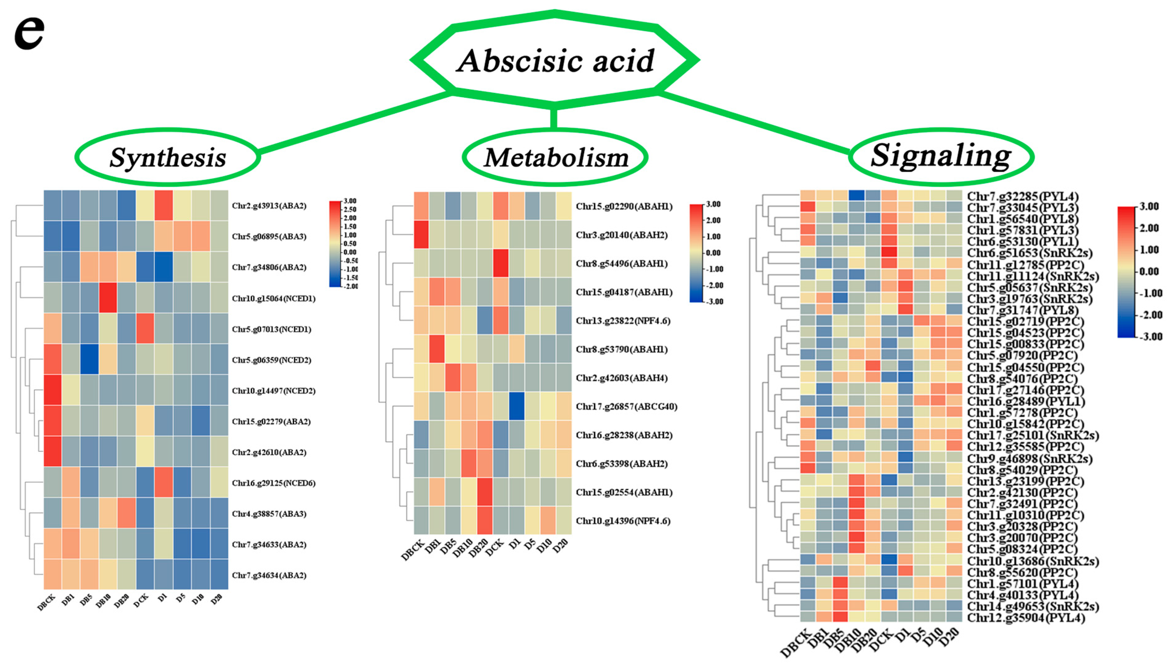 Agronomy 15 02165 g012b Agronomy 15 02165 g012b