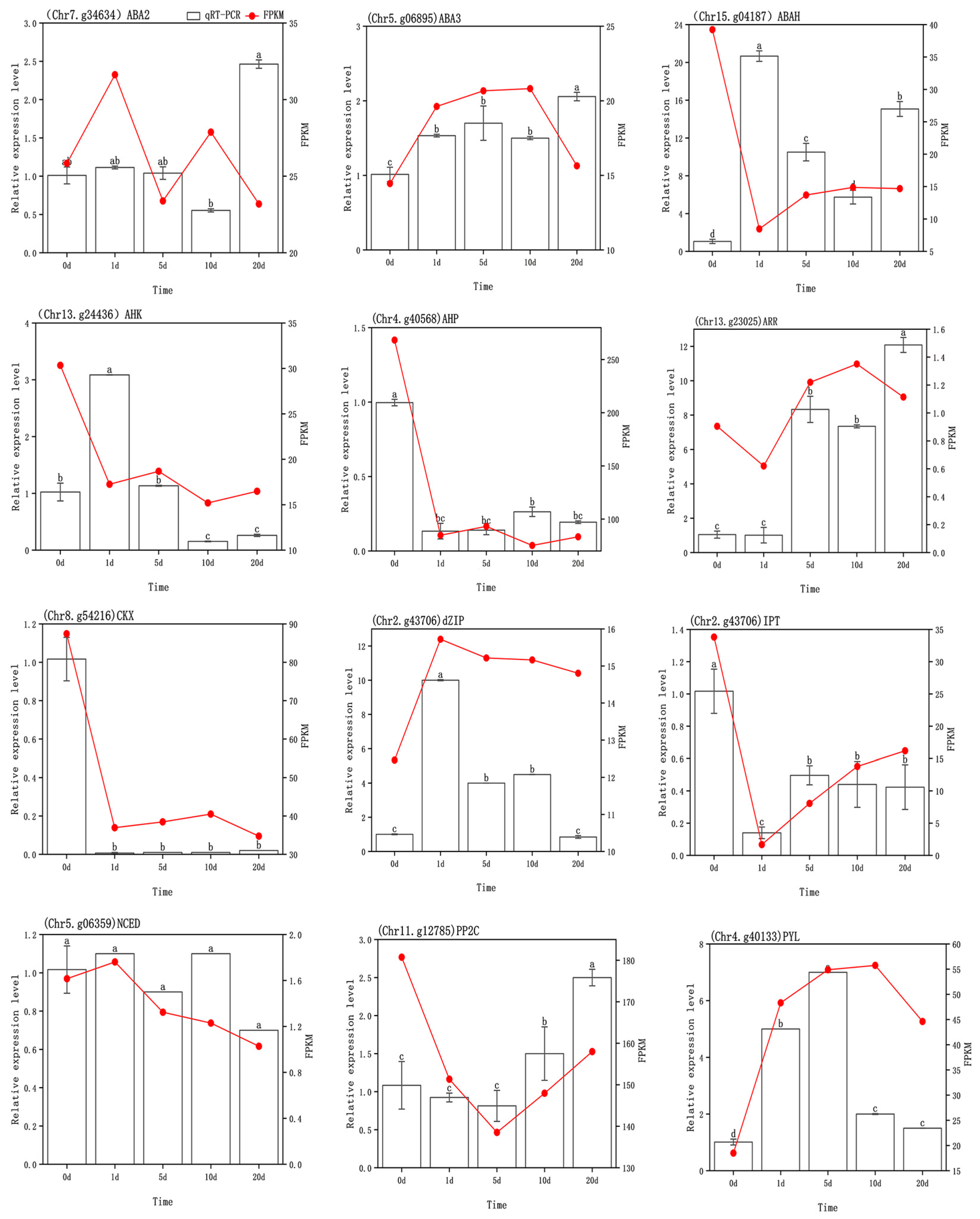 Agronomy 15 02165 g013 Agronomy 15 02165 g013