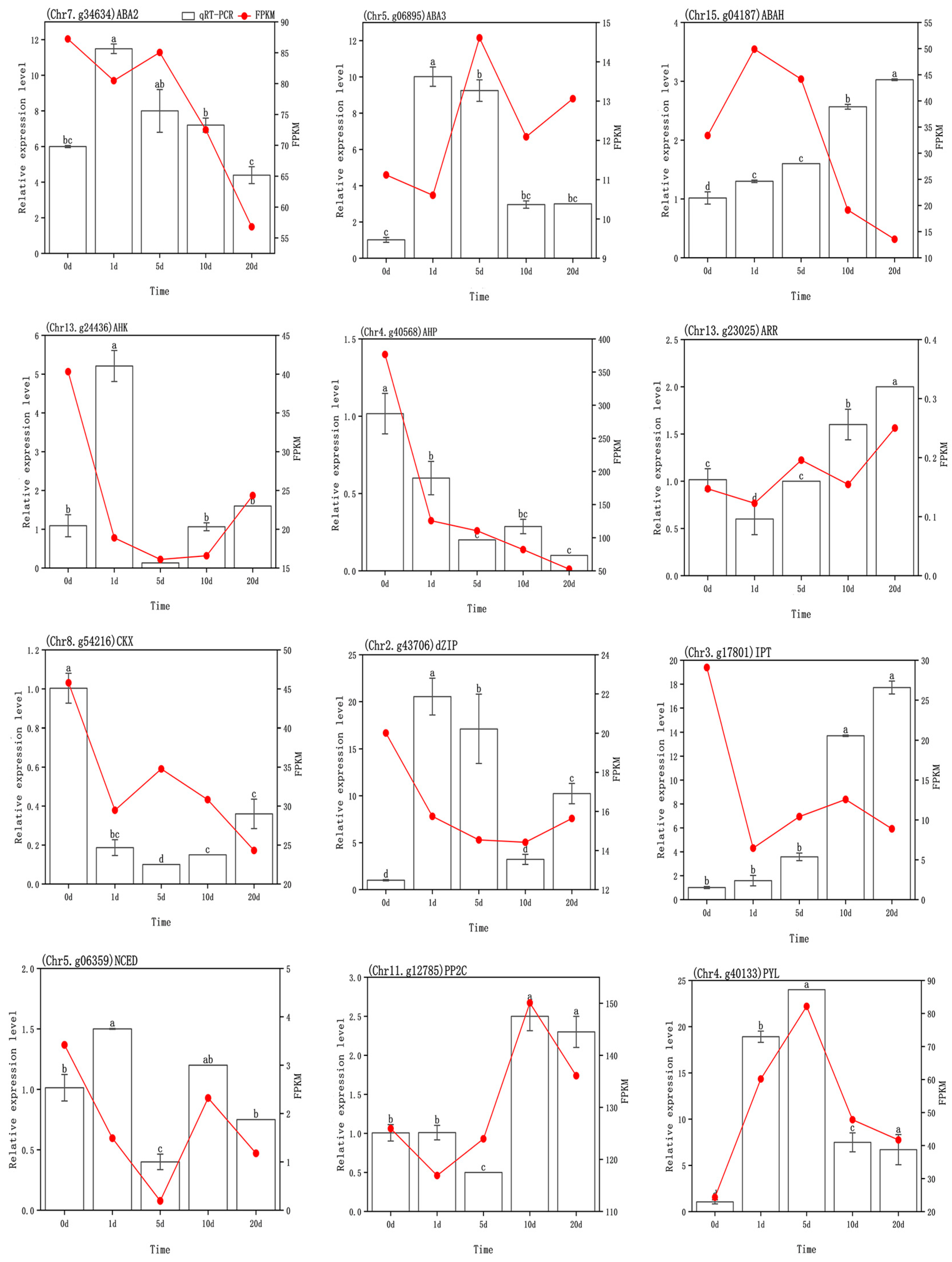 Agronomy 15 02165 g014 Agronomy 15 02165 g014