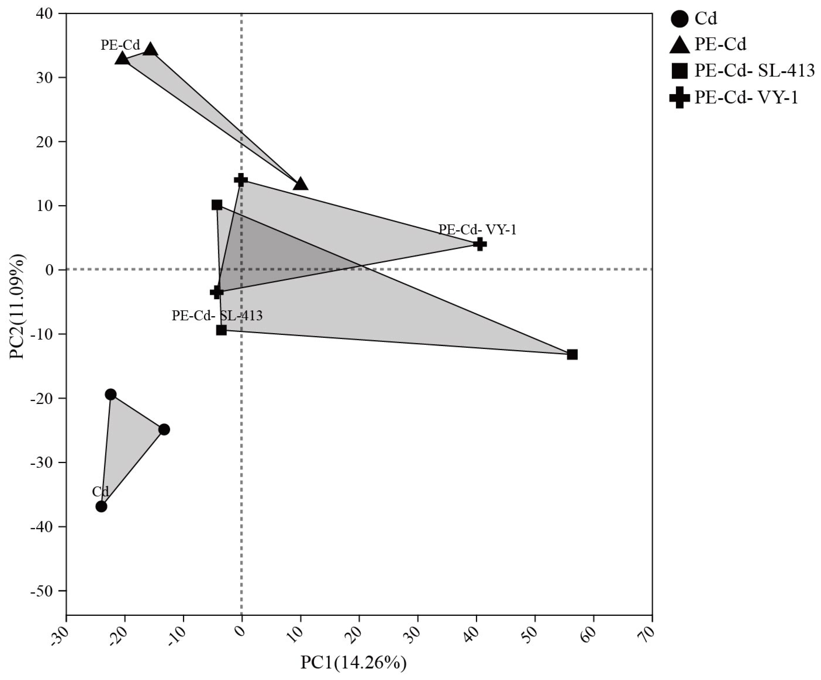 Agronomy 15 02168 g003