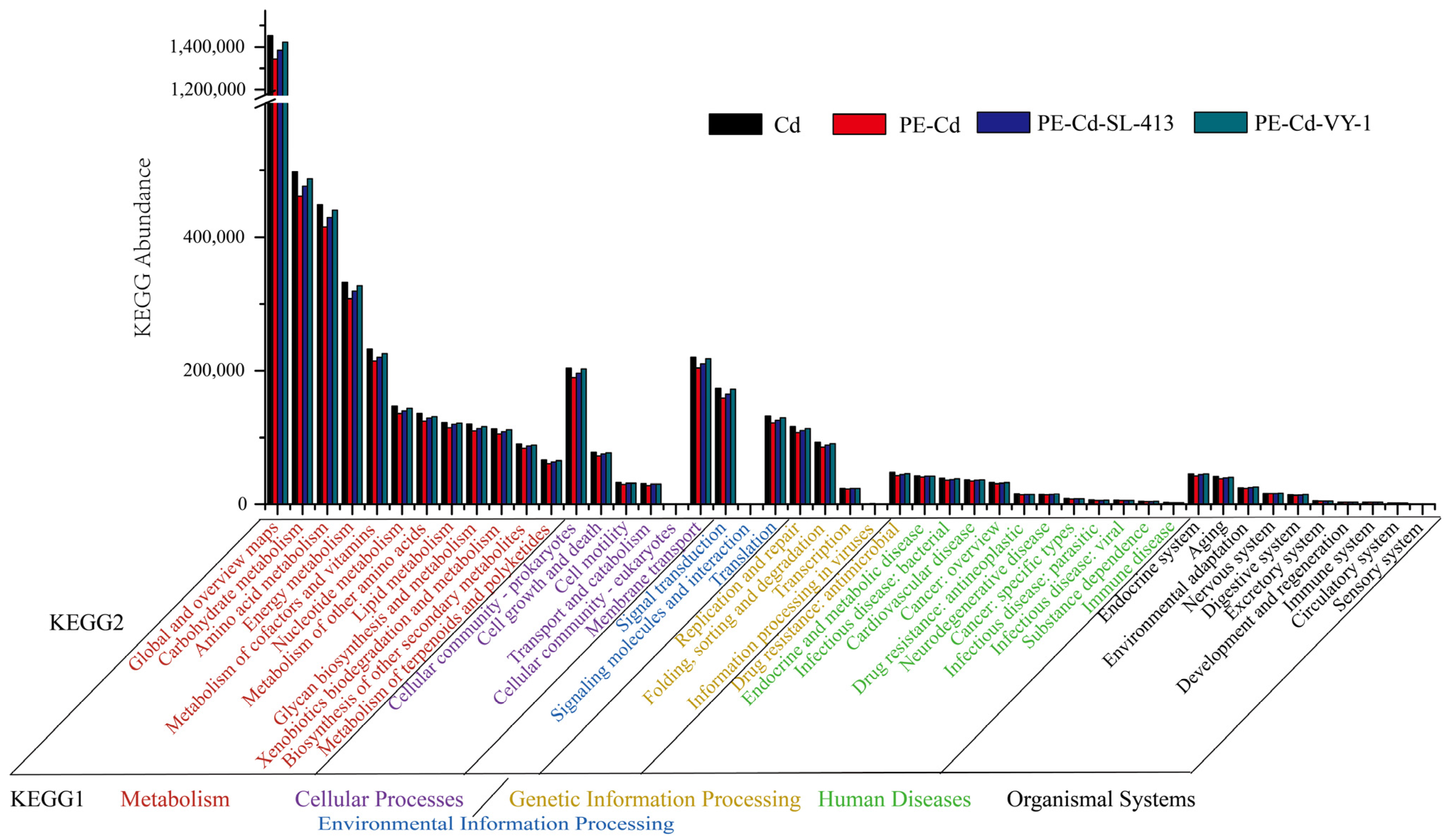 Agronomy 15 02168 g006