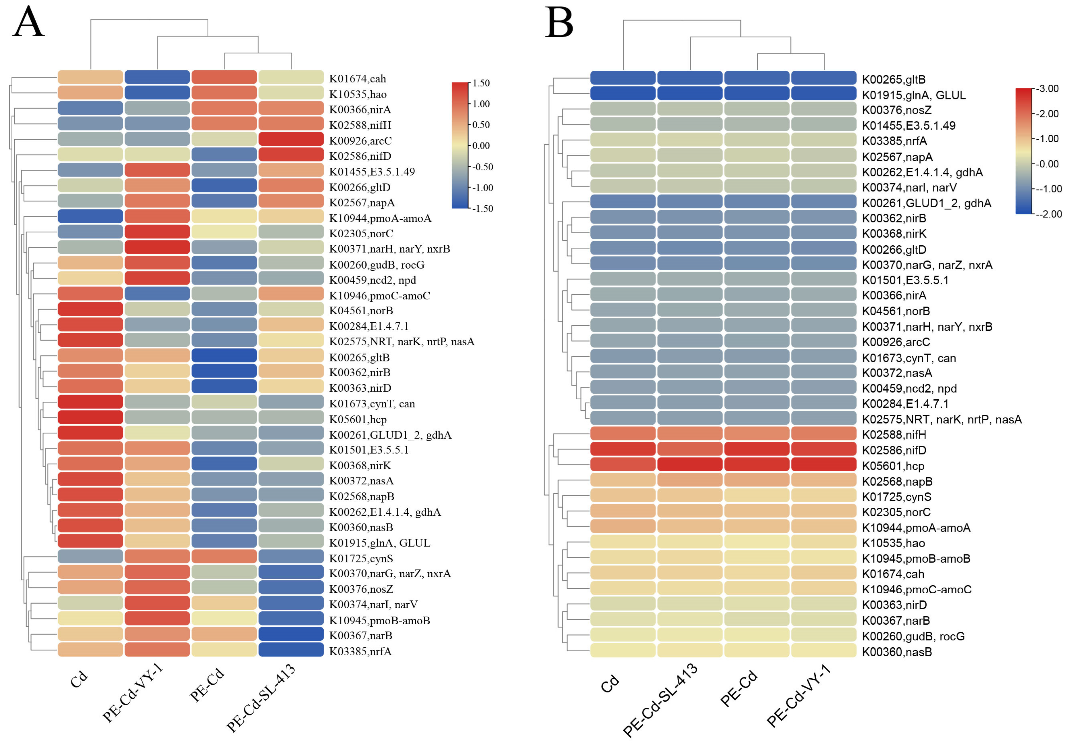 Agronomy 15 02168 g008