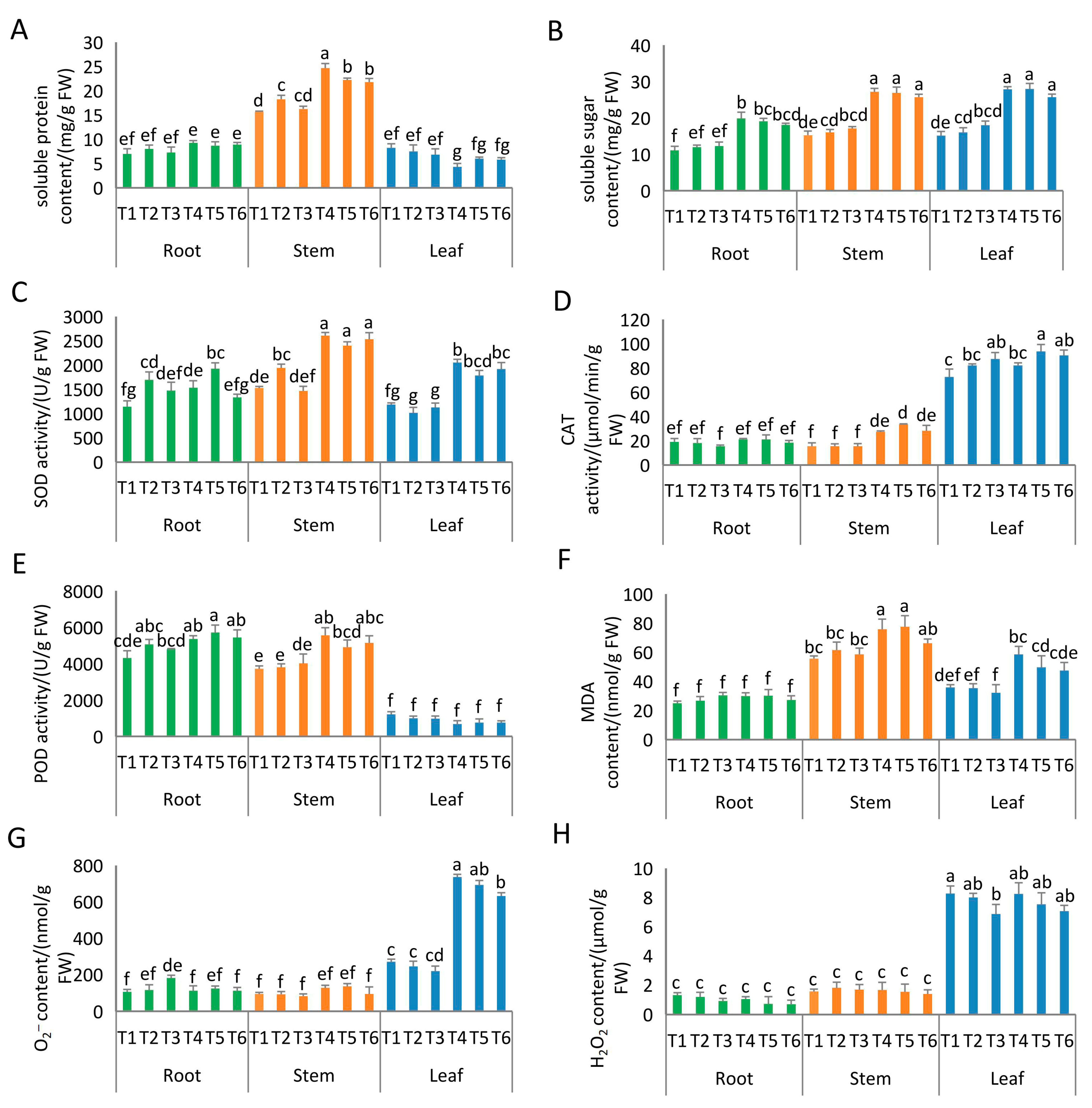 Agronomy 15 02171 g001