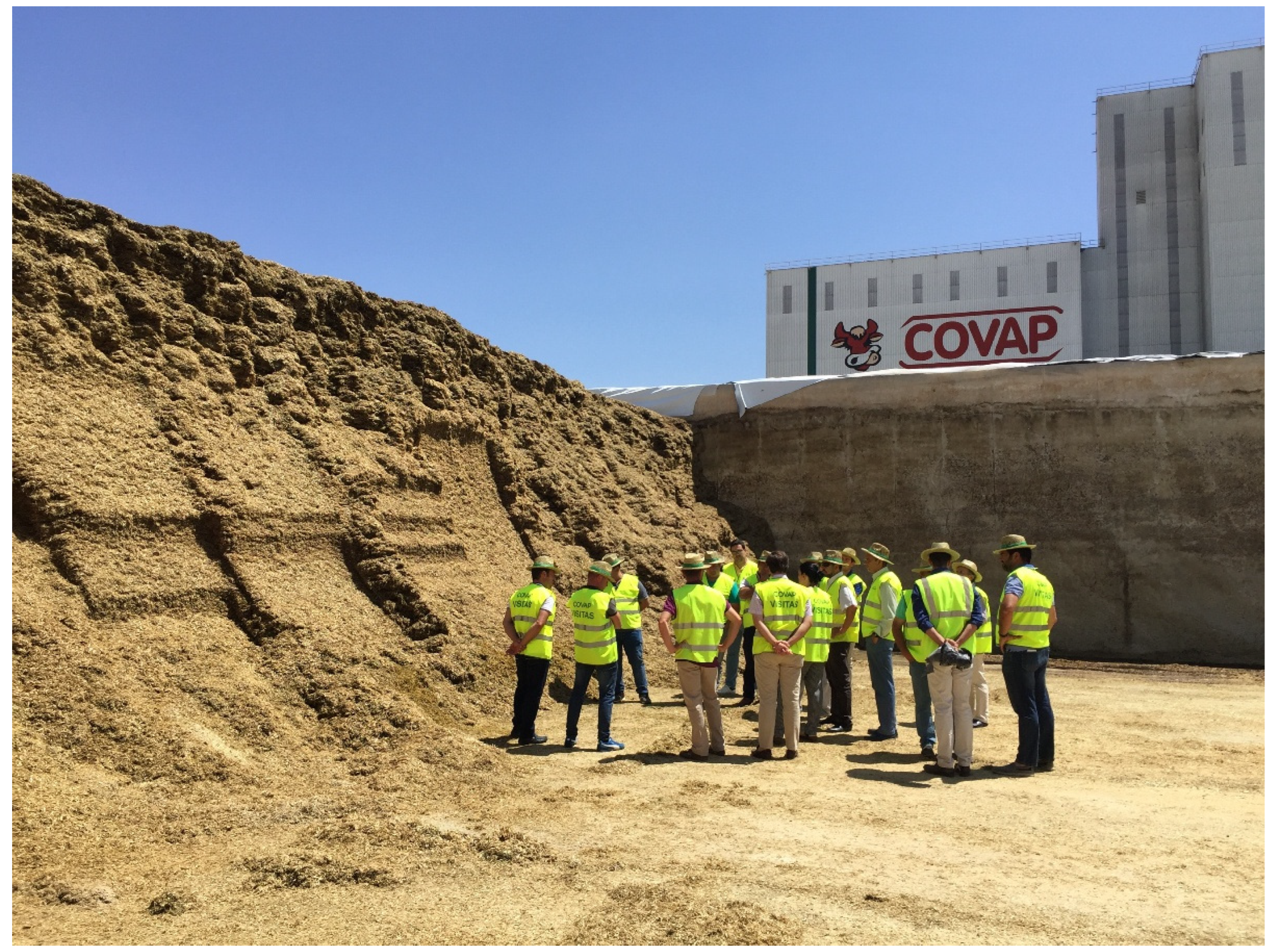 Agronomy 15 02175 g001 Agronomy 15 02175 g001