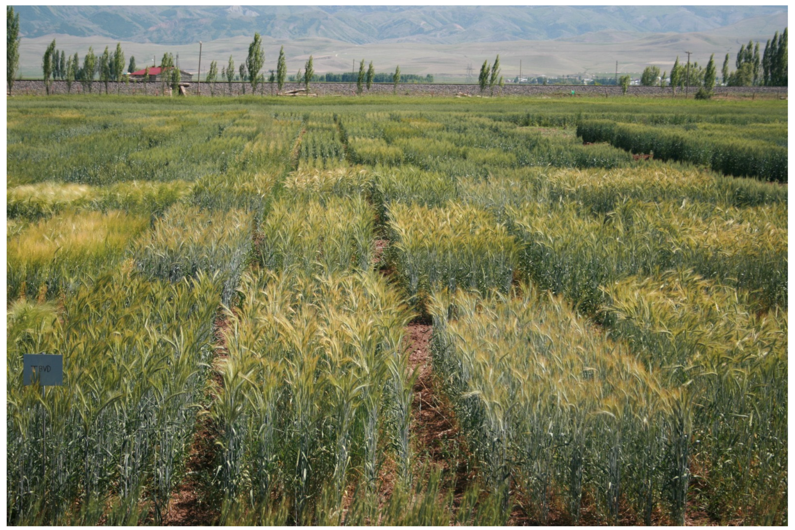 Agronomy 15 02175 g008 Agronomy 15 02175 g008