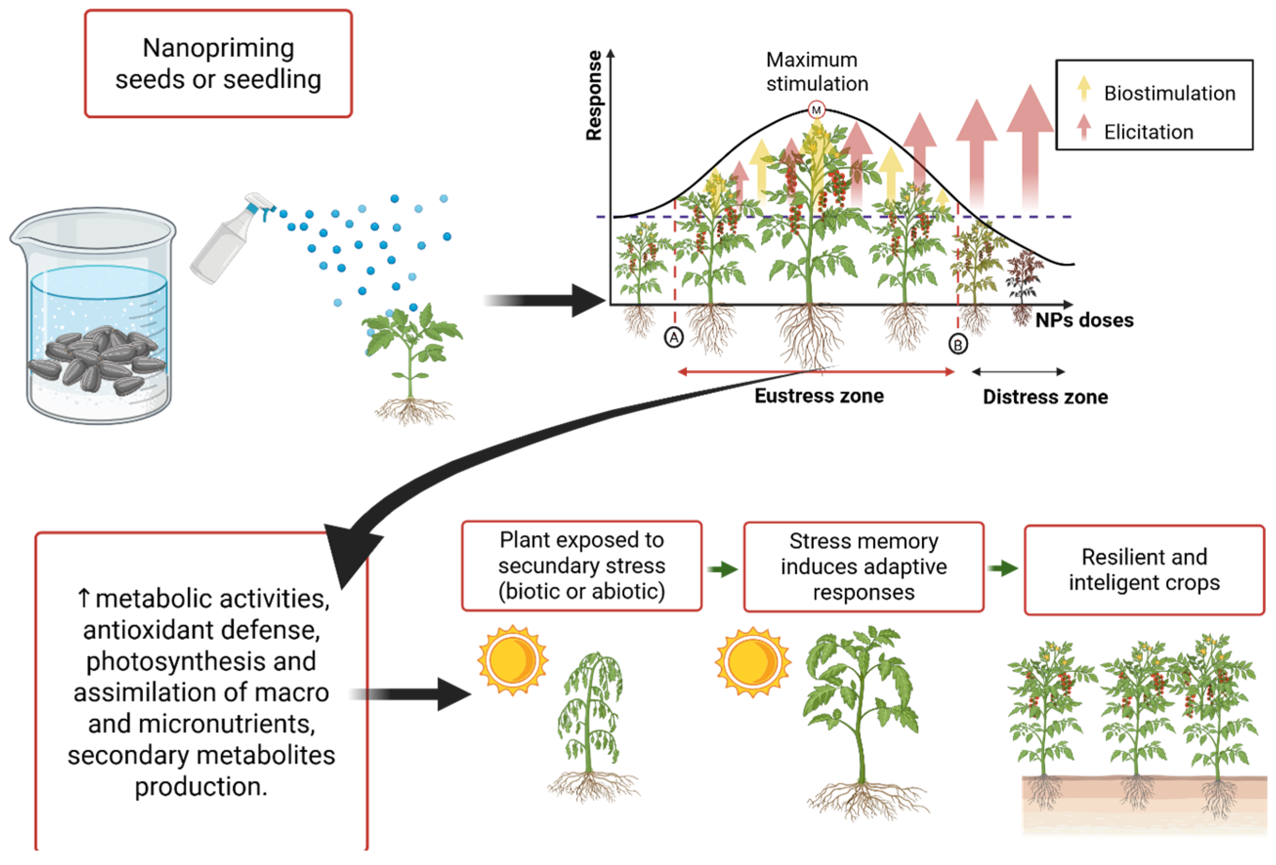 Agronomy 15 02186 g002