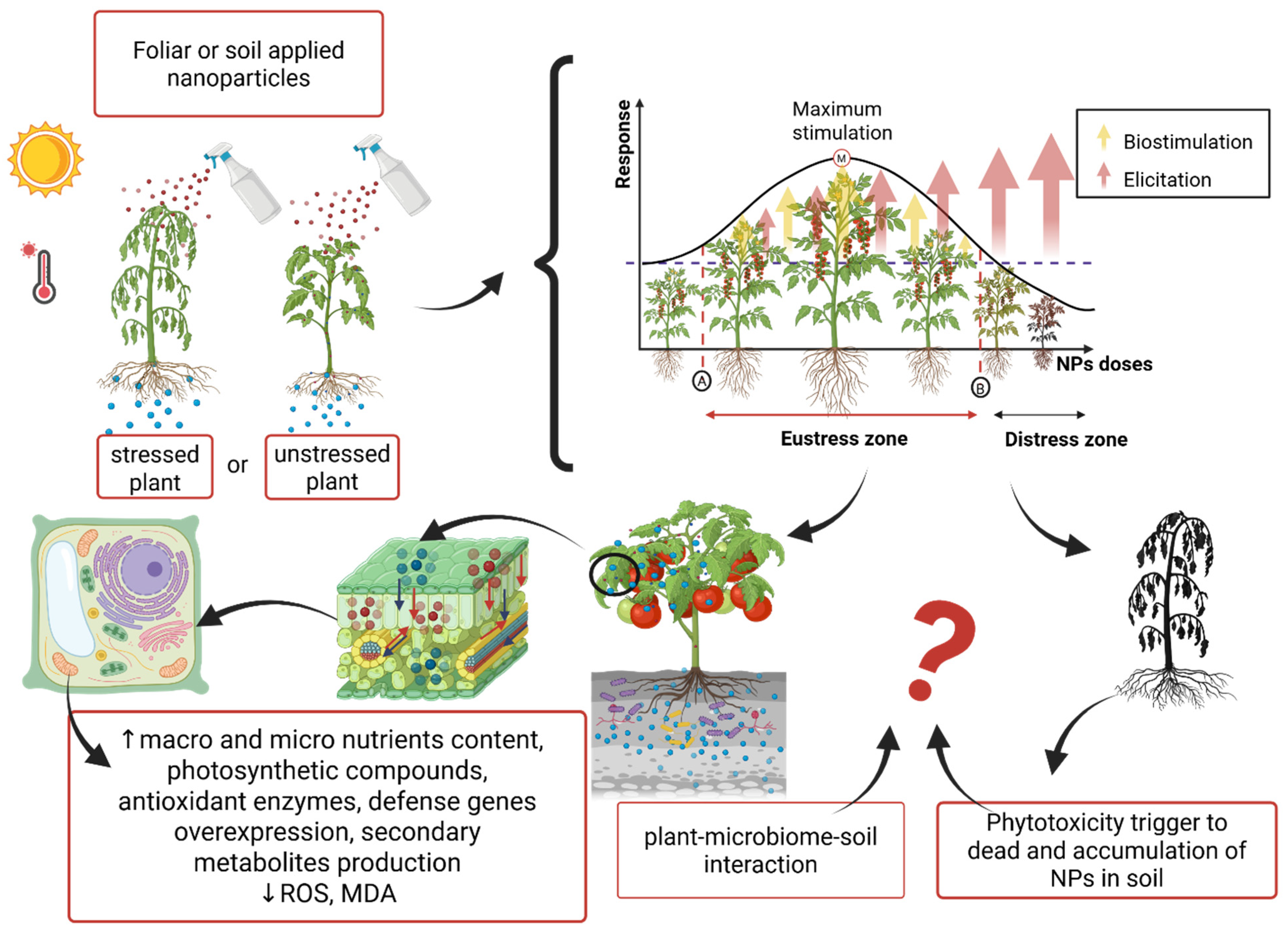 Agronomy 15 02186 g003