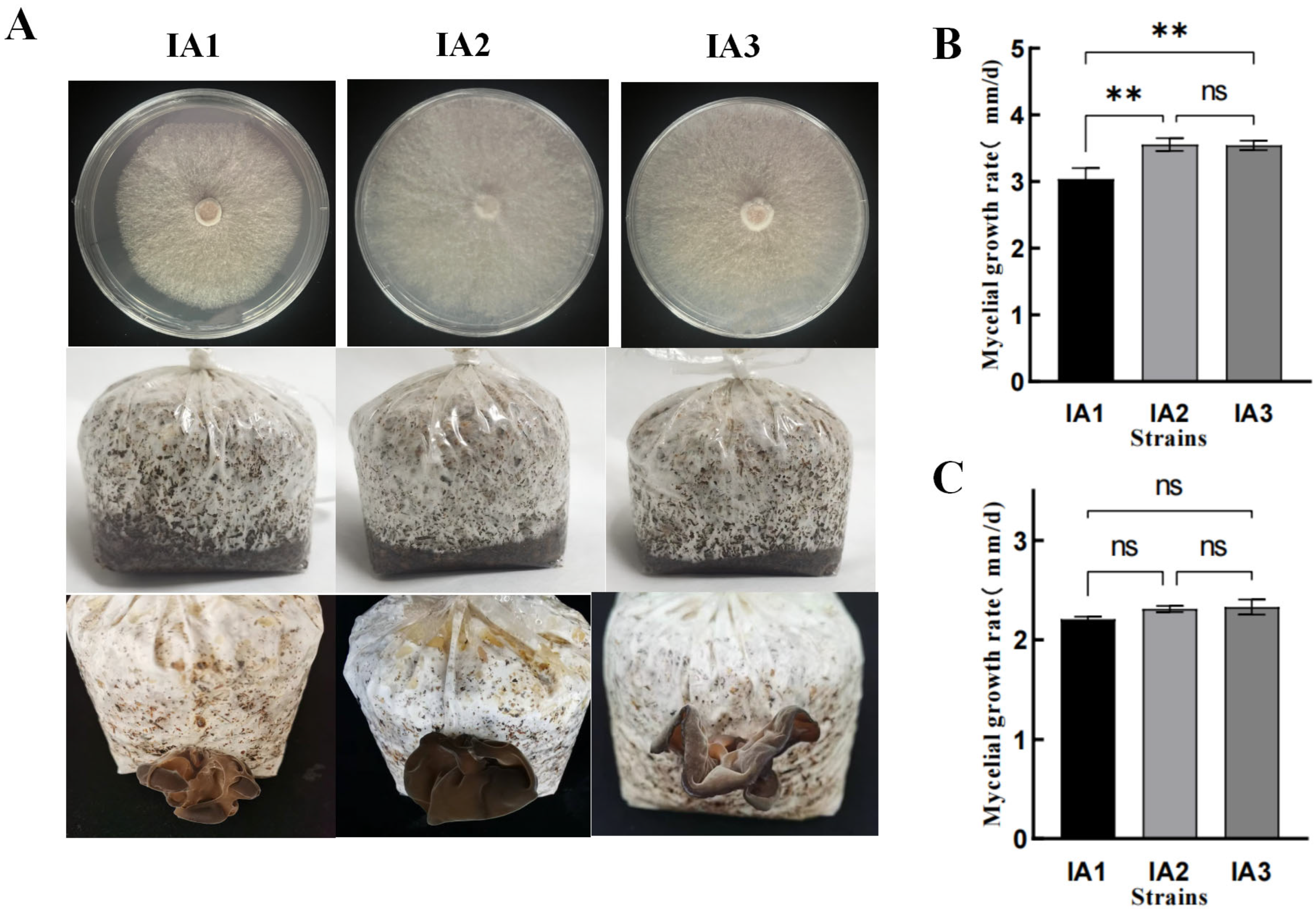 Agronomy 15 02188 g003 Agronomy 15 02188 g003