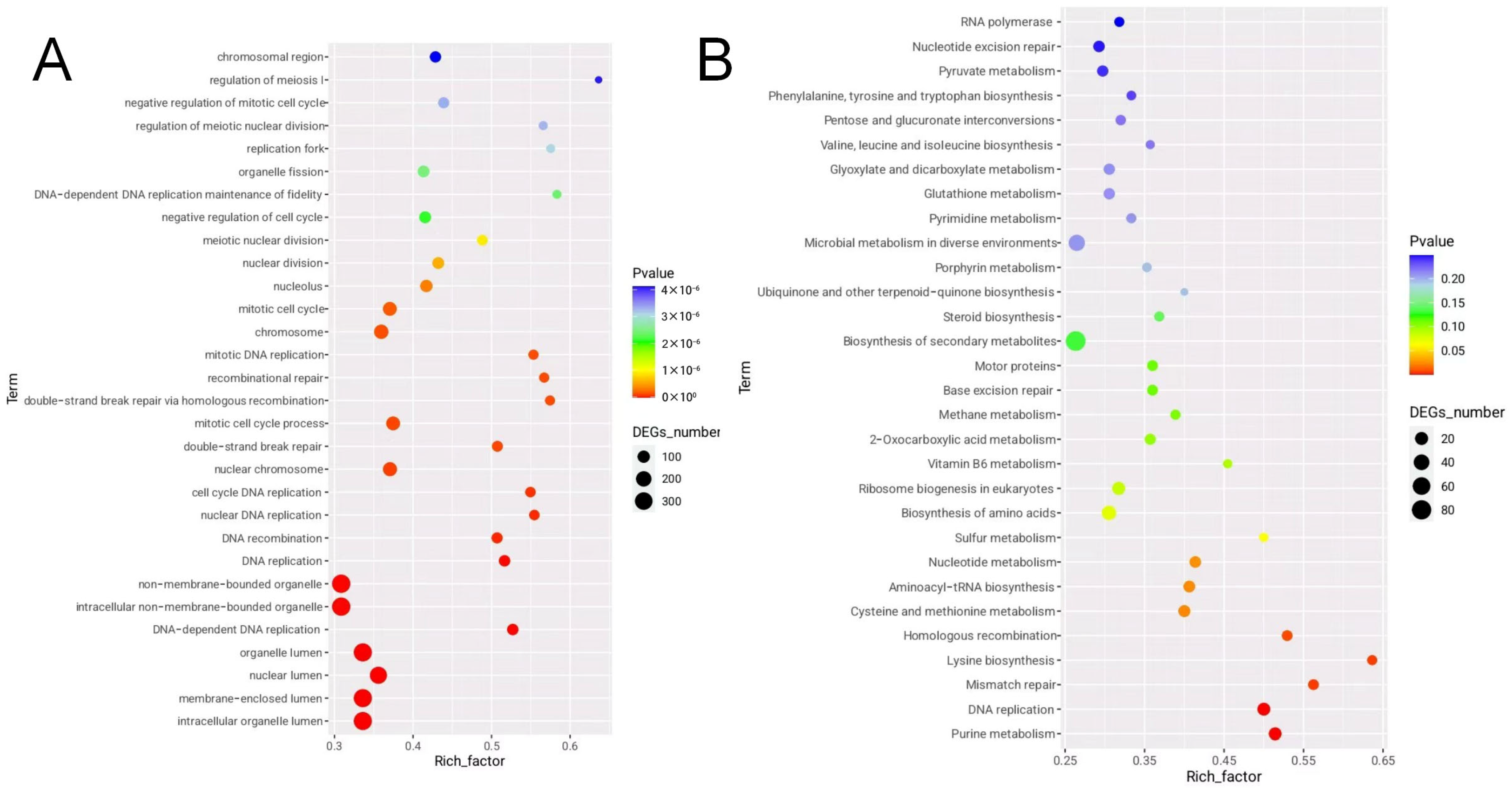 Agronomy 15 02188 g006 Agronomy 15 02188 g006