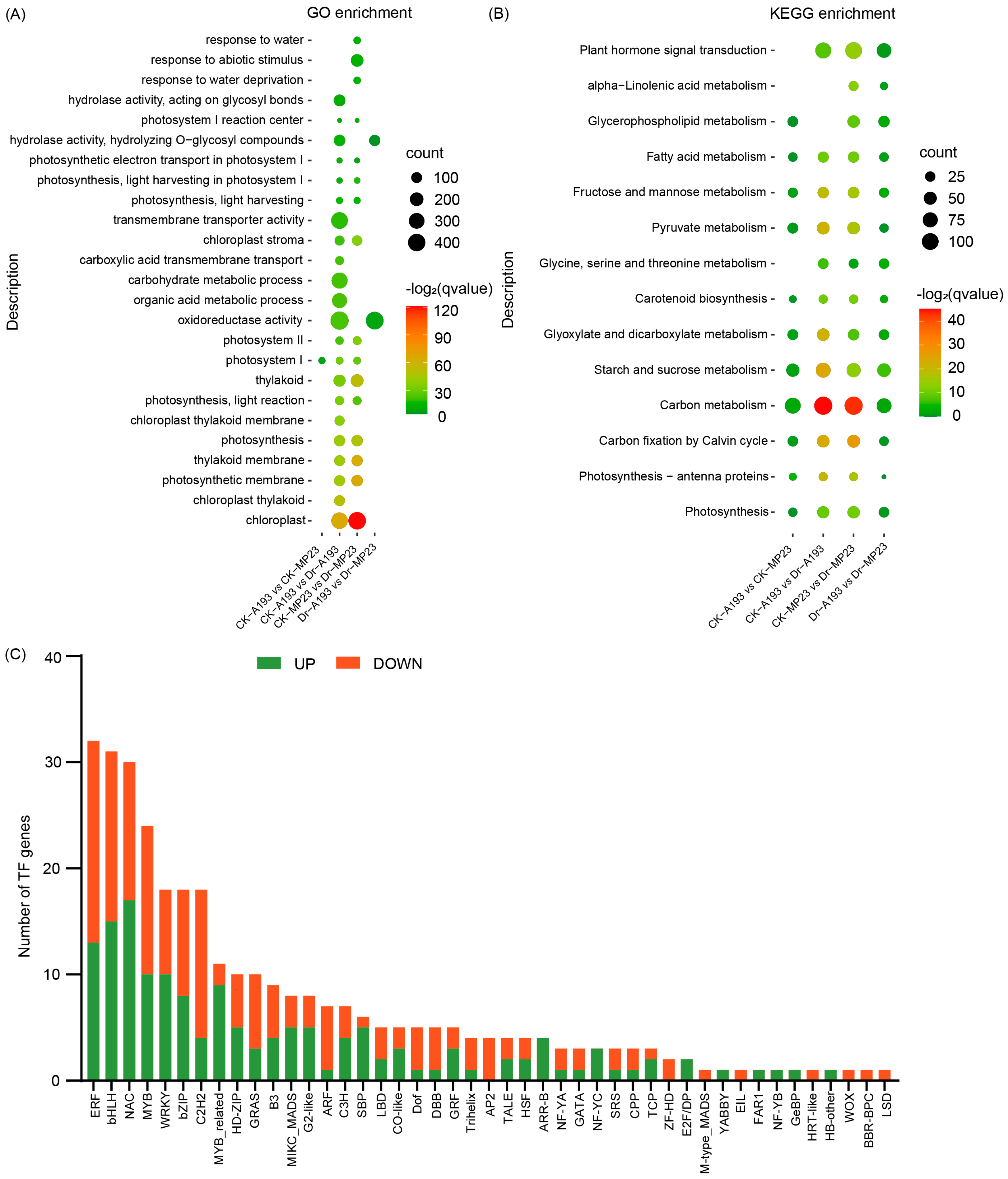 Agronomy 15 02189 g004