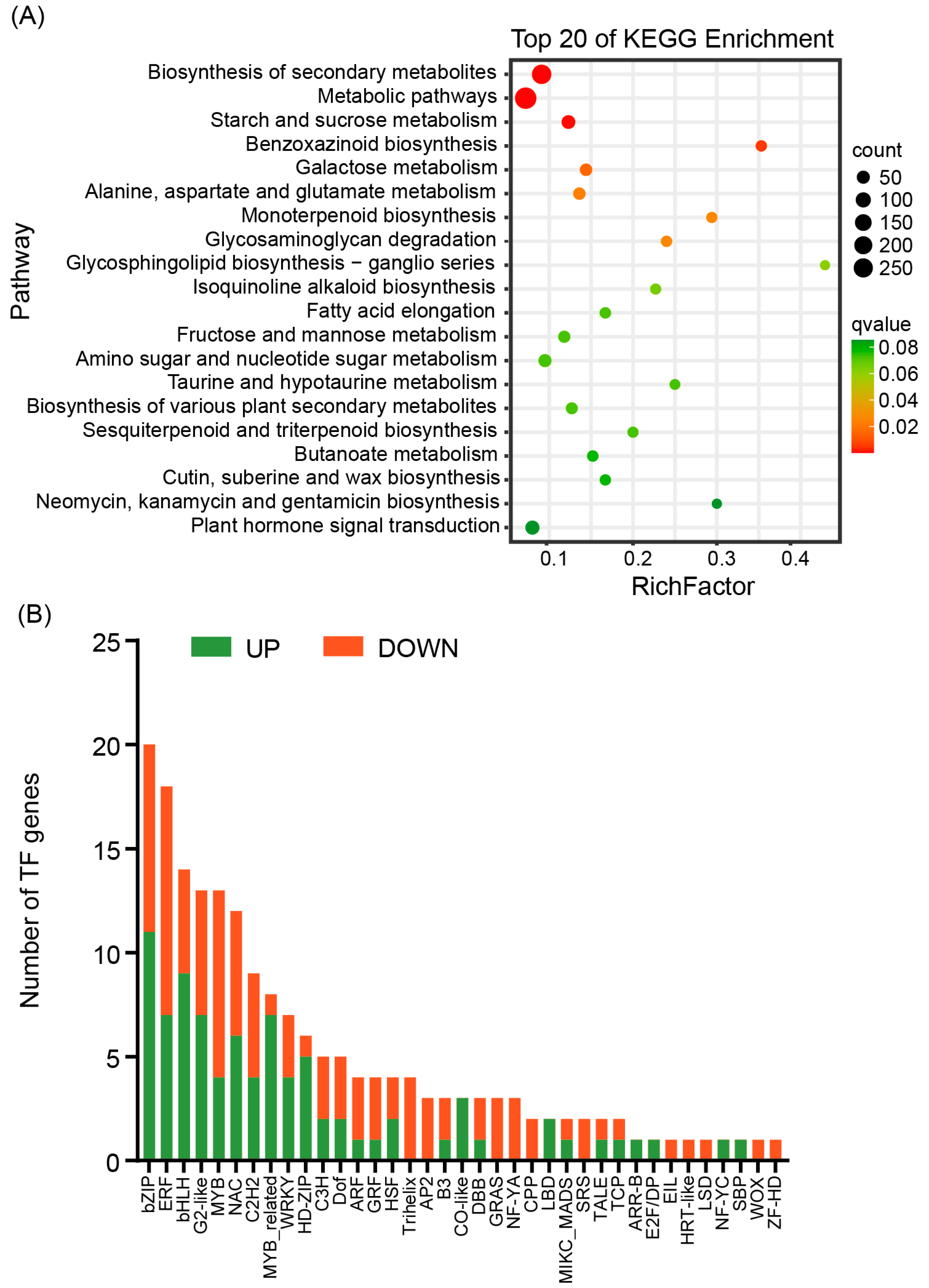 Agronomy 15 02189 g005
