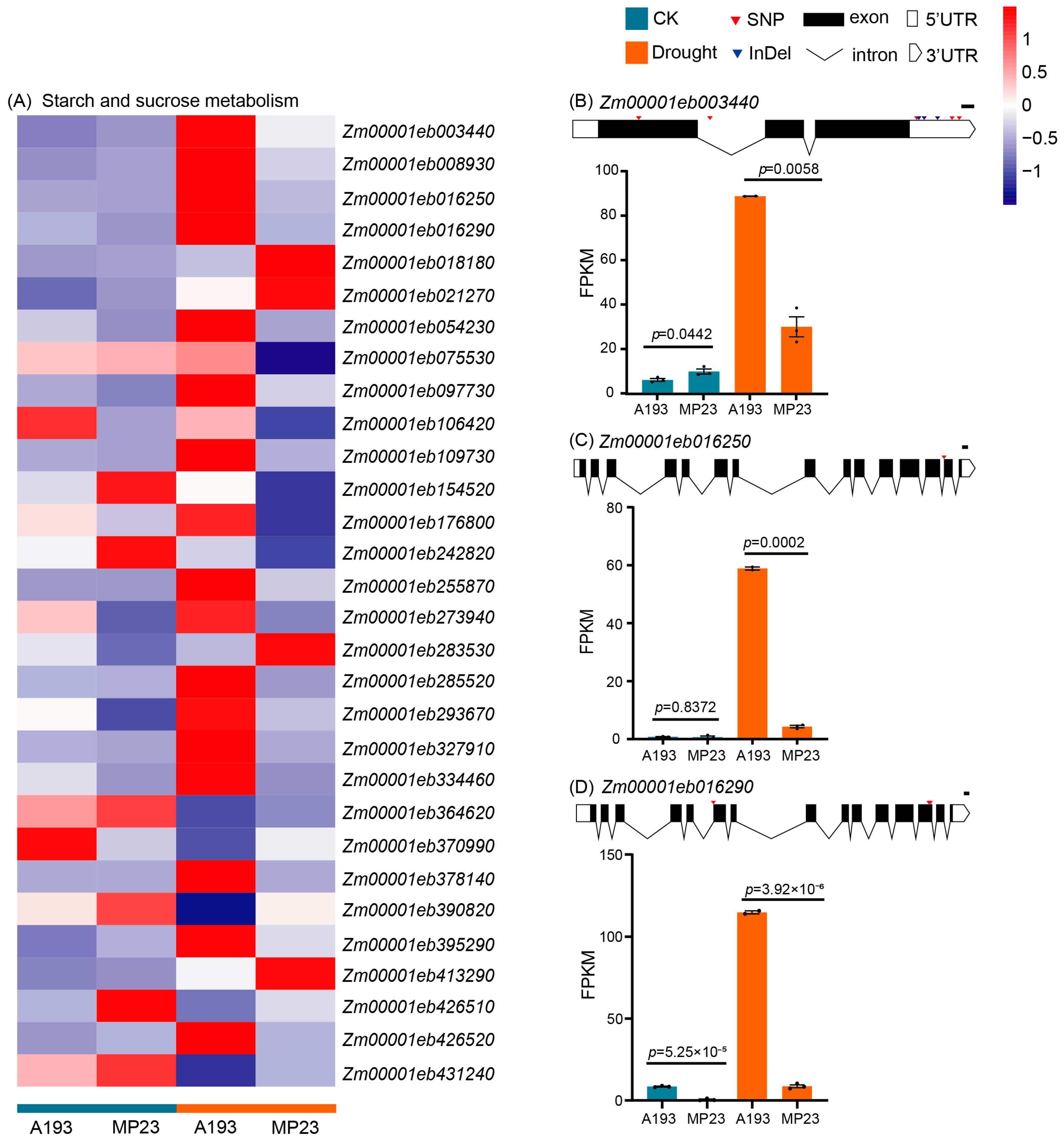 Agronomy 15 02189 g006