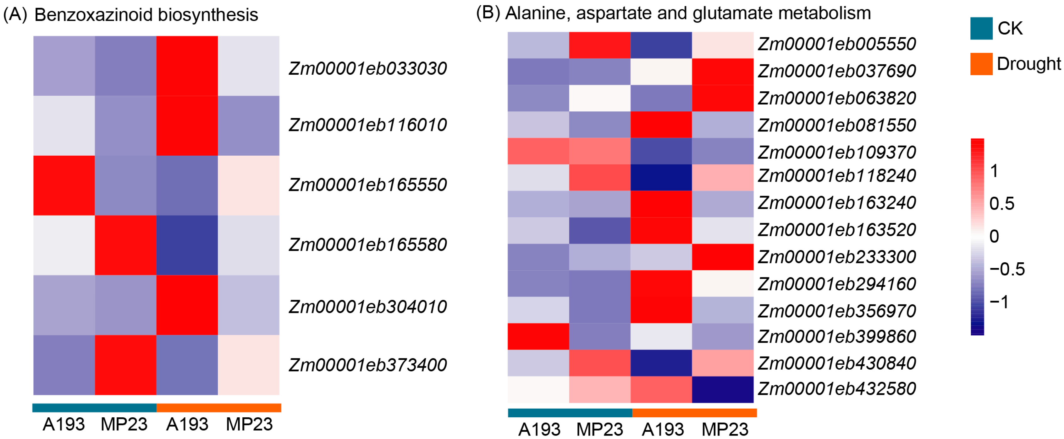 Agronomy 15 02189 g007