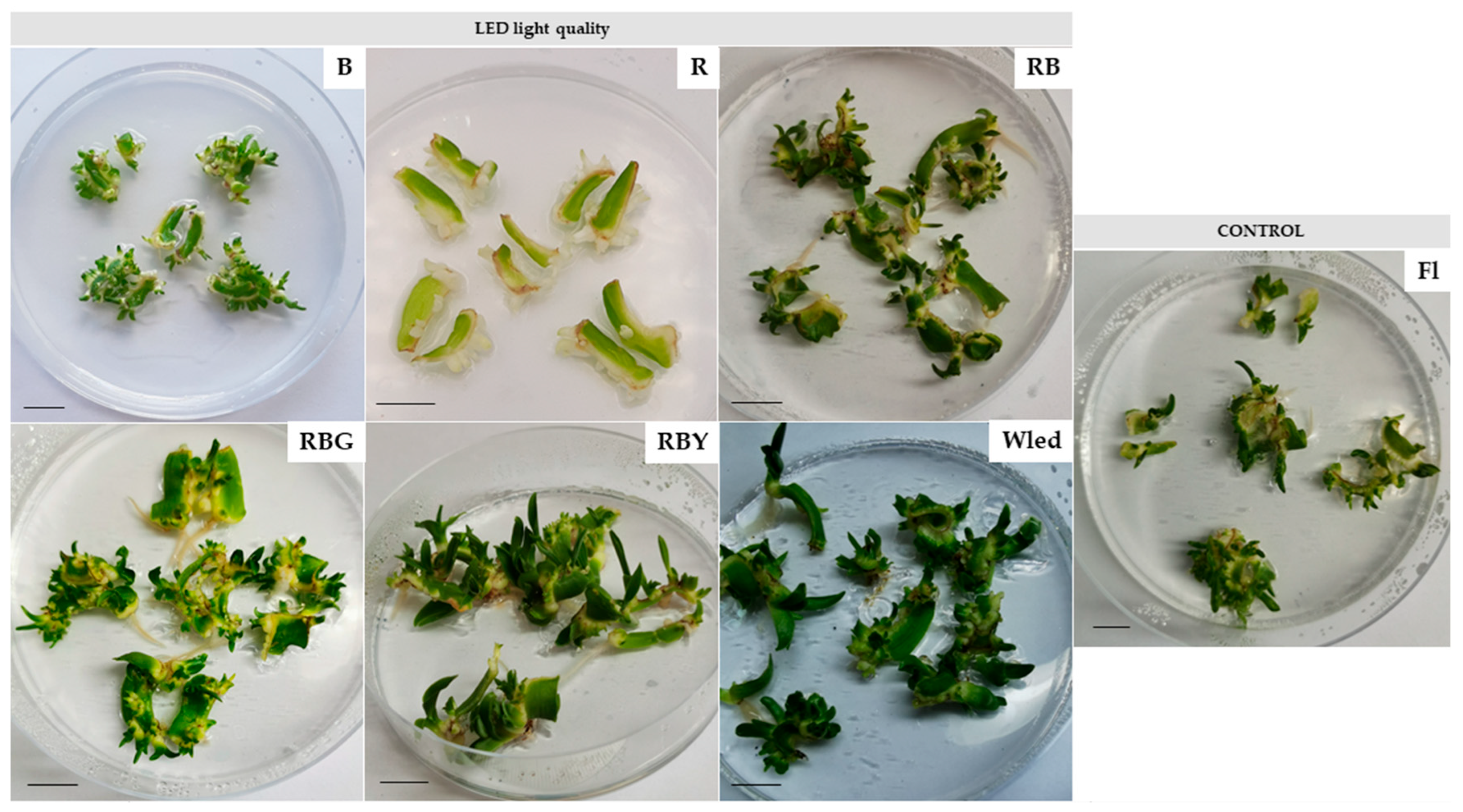 Agronomy 15 02197 g002 Agronomy 15 02197 g002