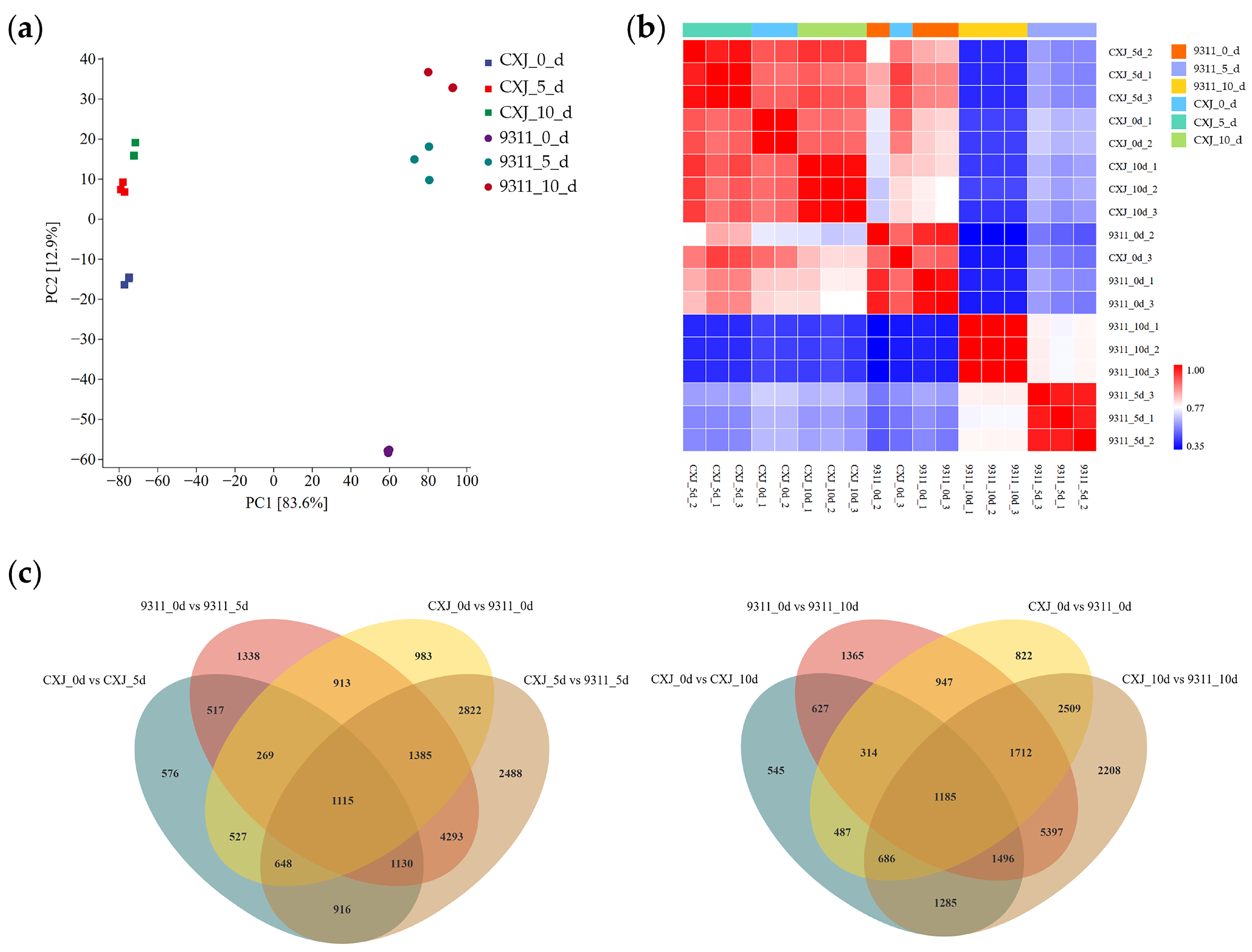 Agronomy 15 02206 g002