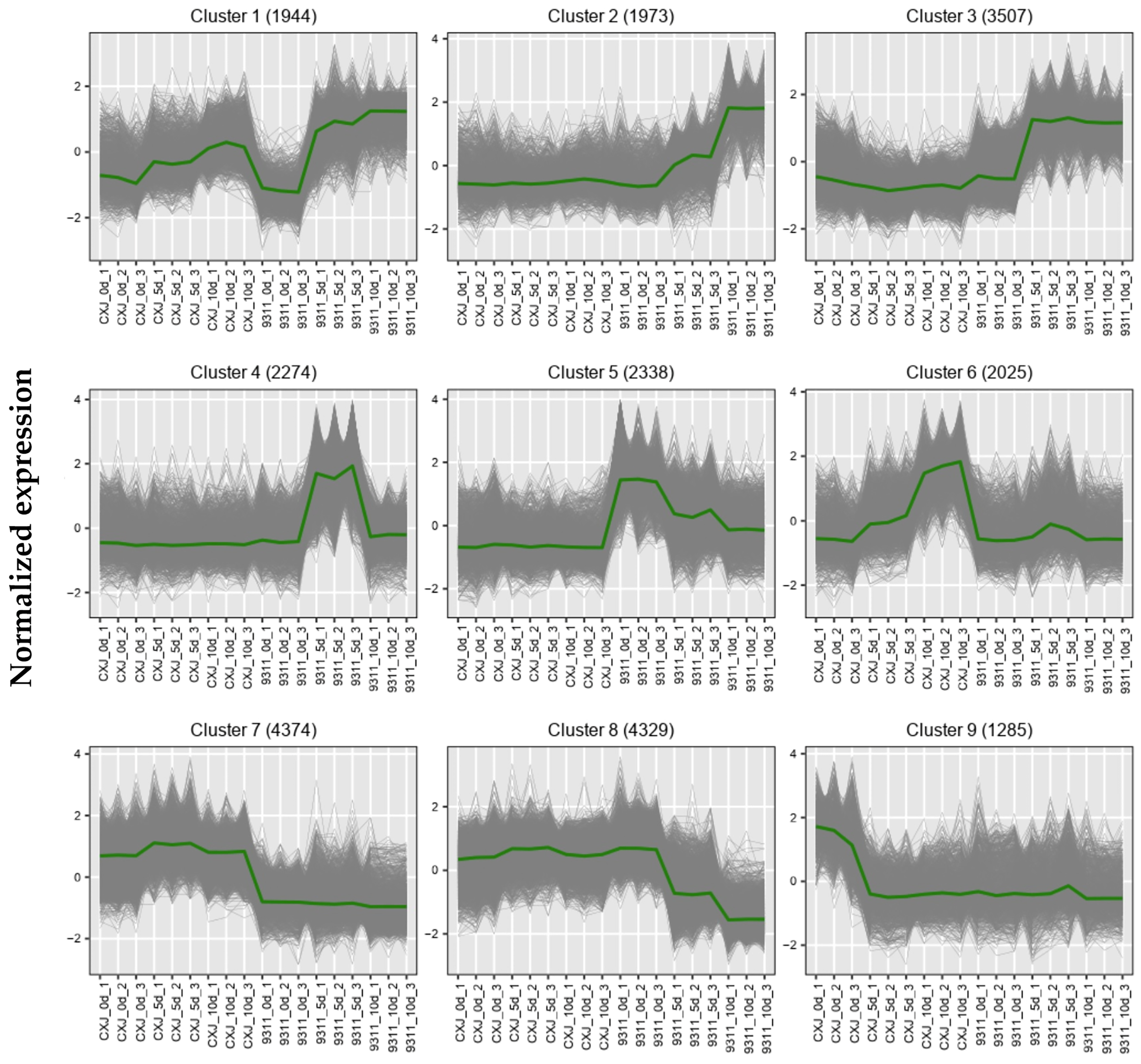 Agronomy 15 02206 g003