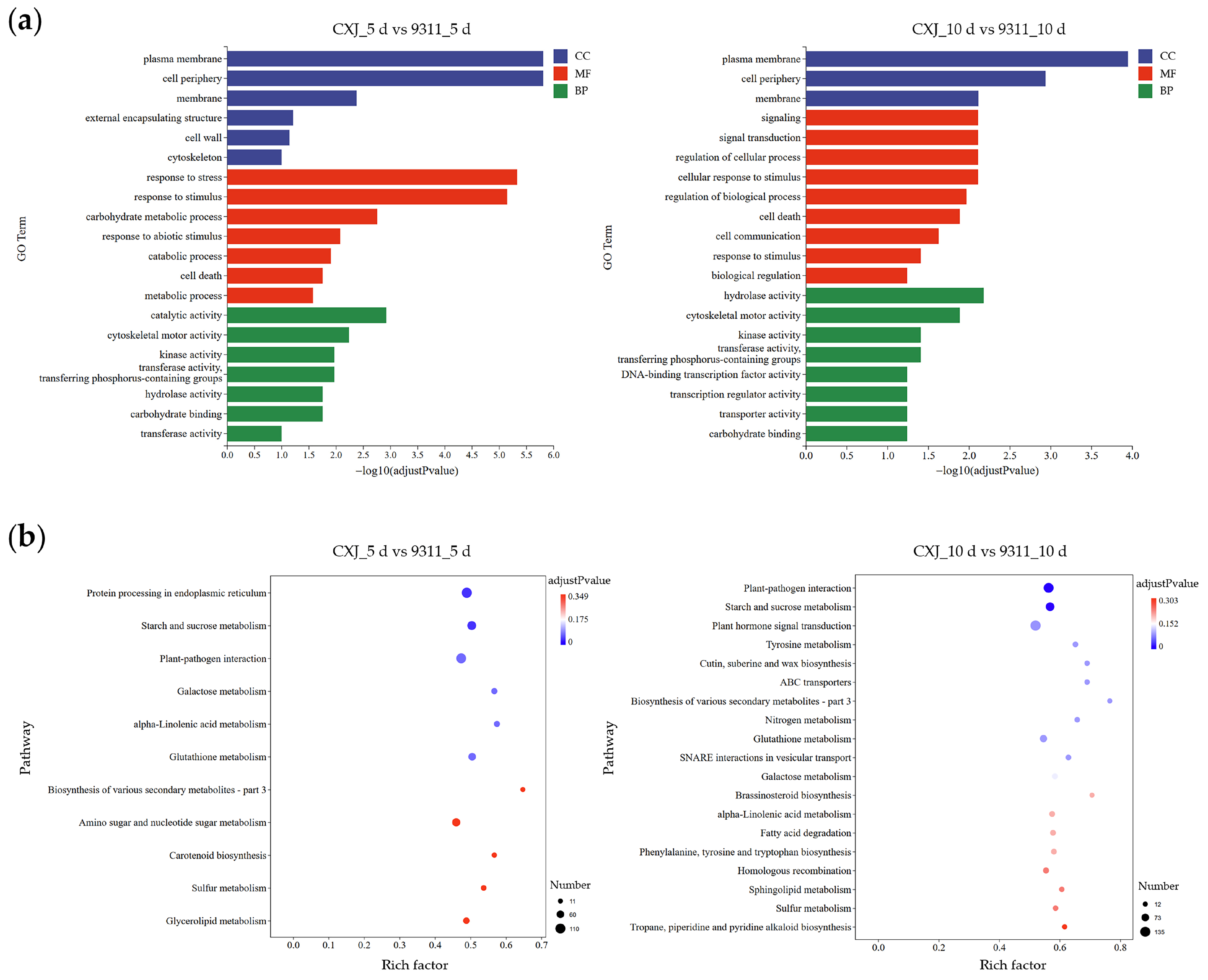 Agronomy 15 02206 g005