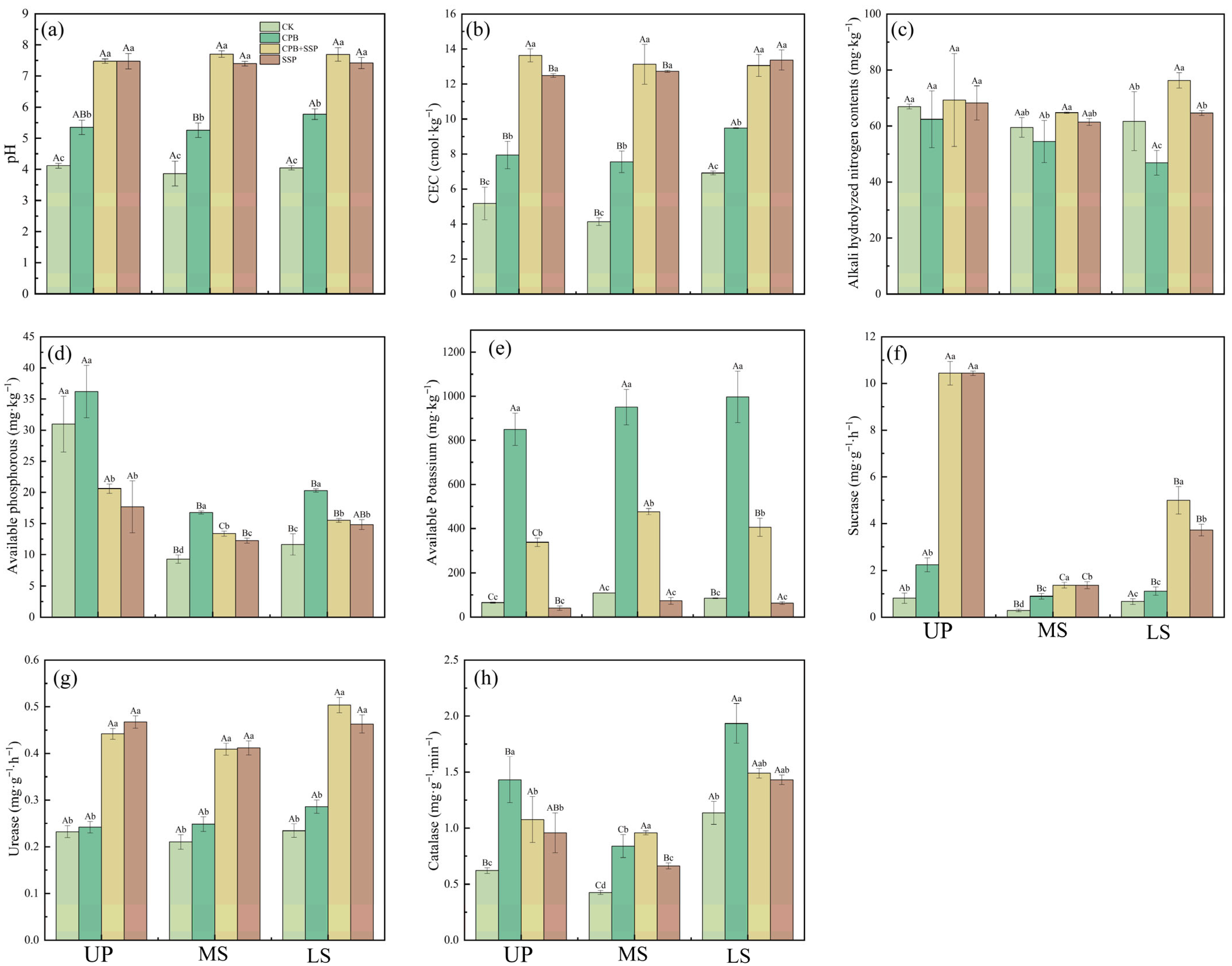Agronomy 15 02209 g002