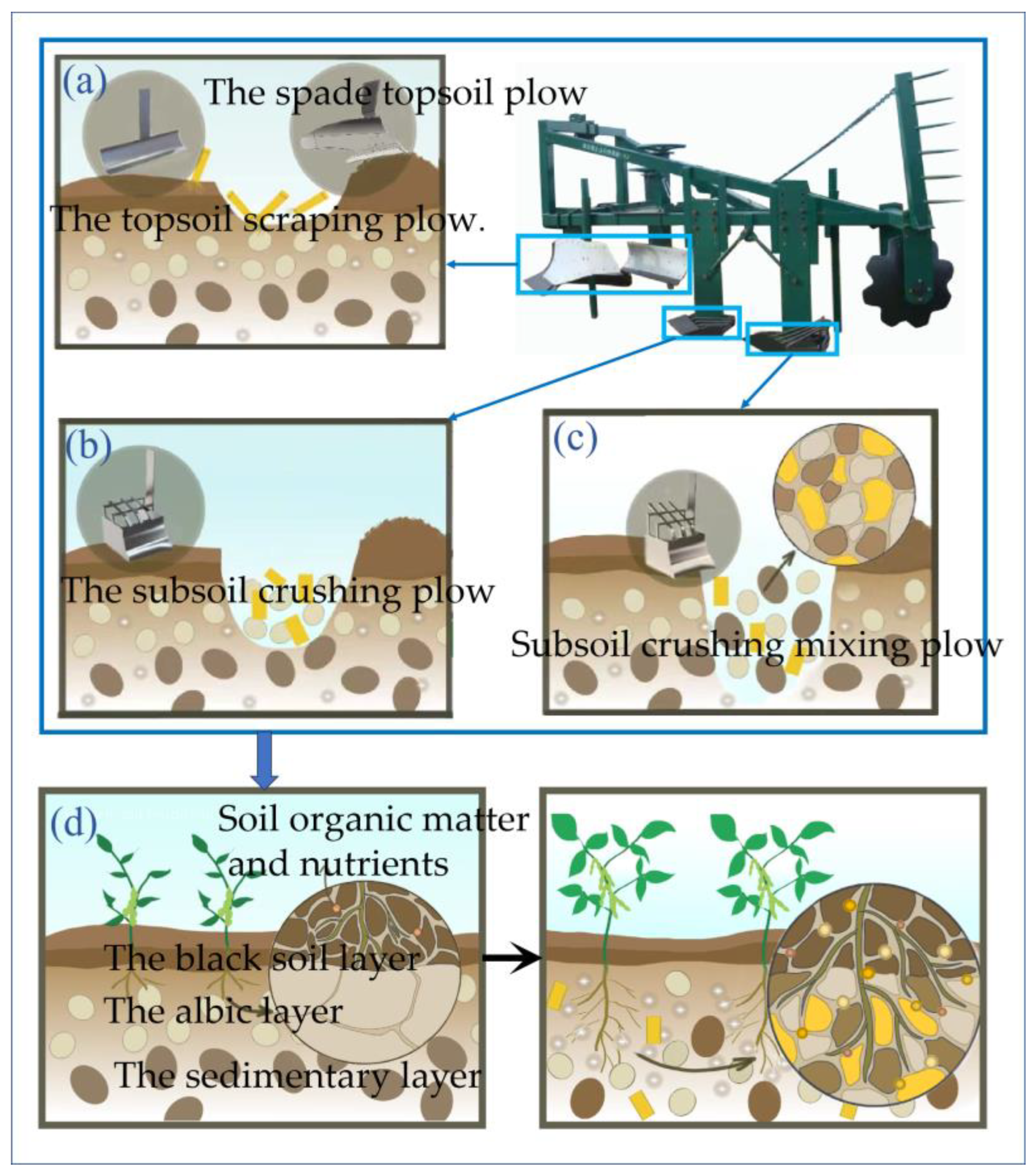 Agronomy 15 02210 g001