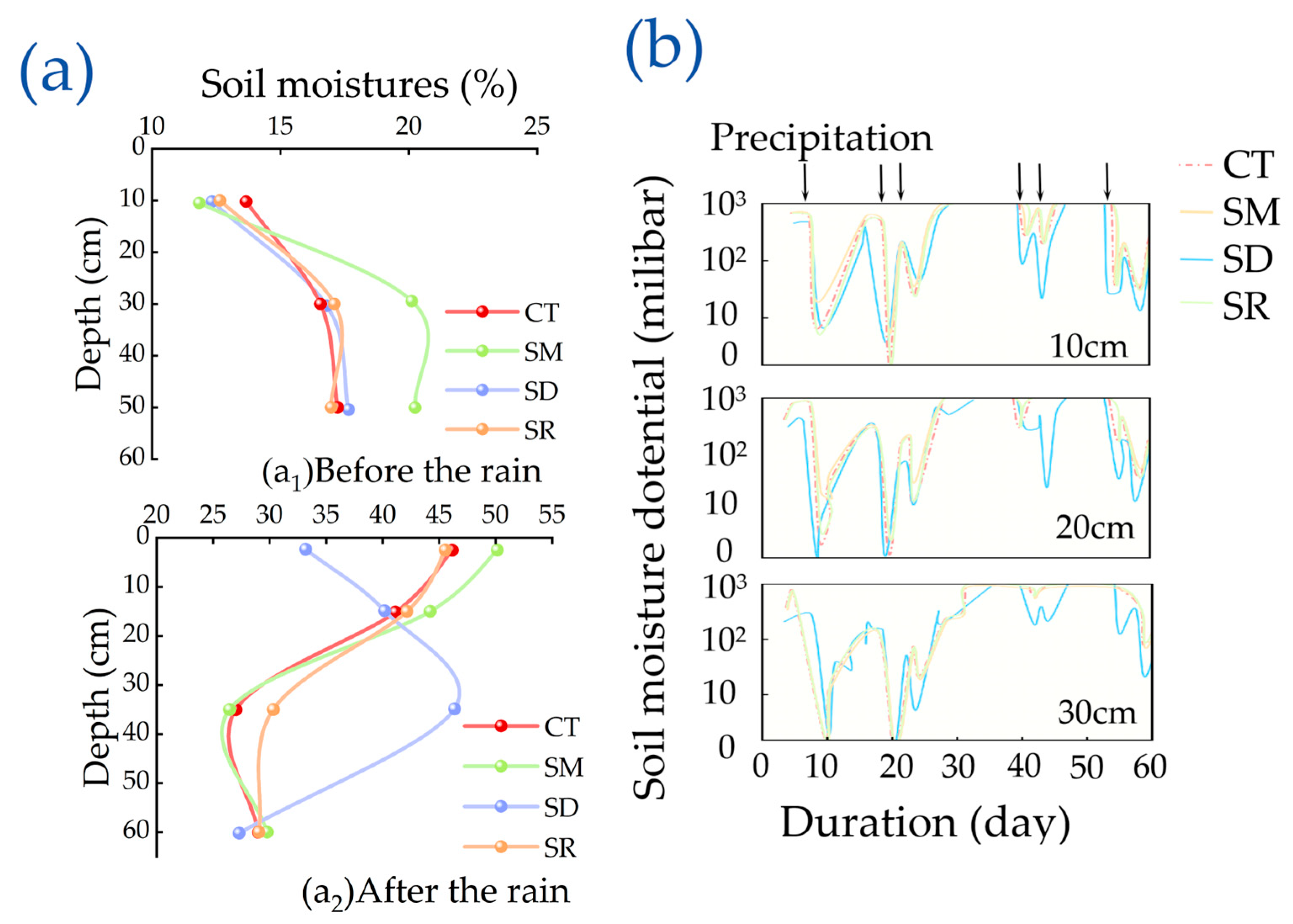 Agronomy 15 02210 g005