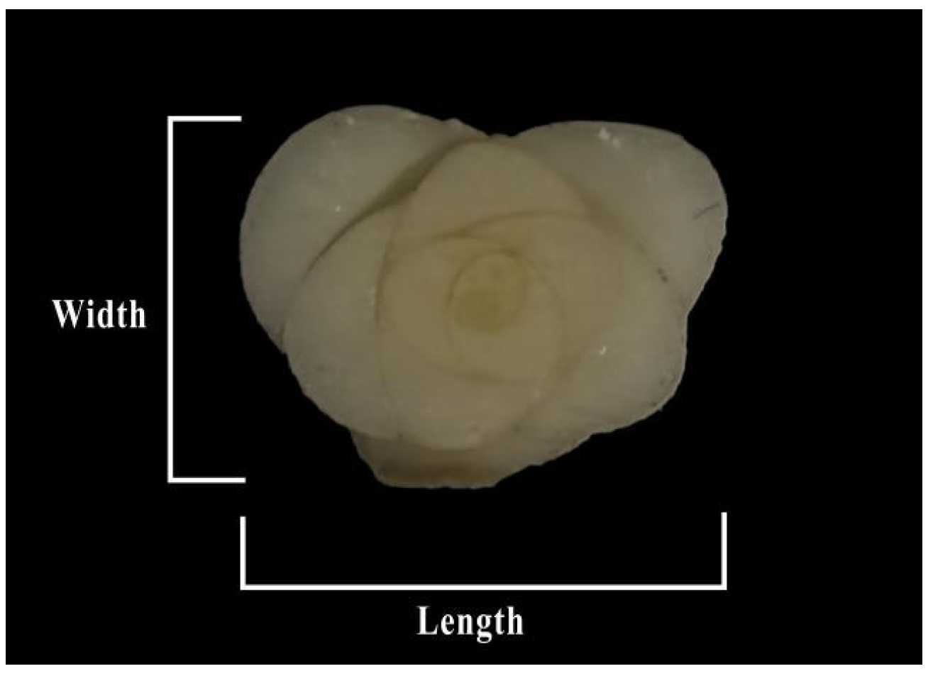 Agronomy 15 02211 g001