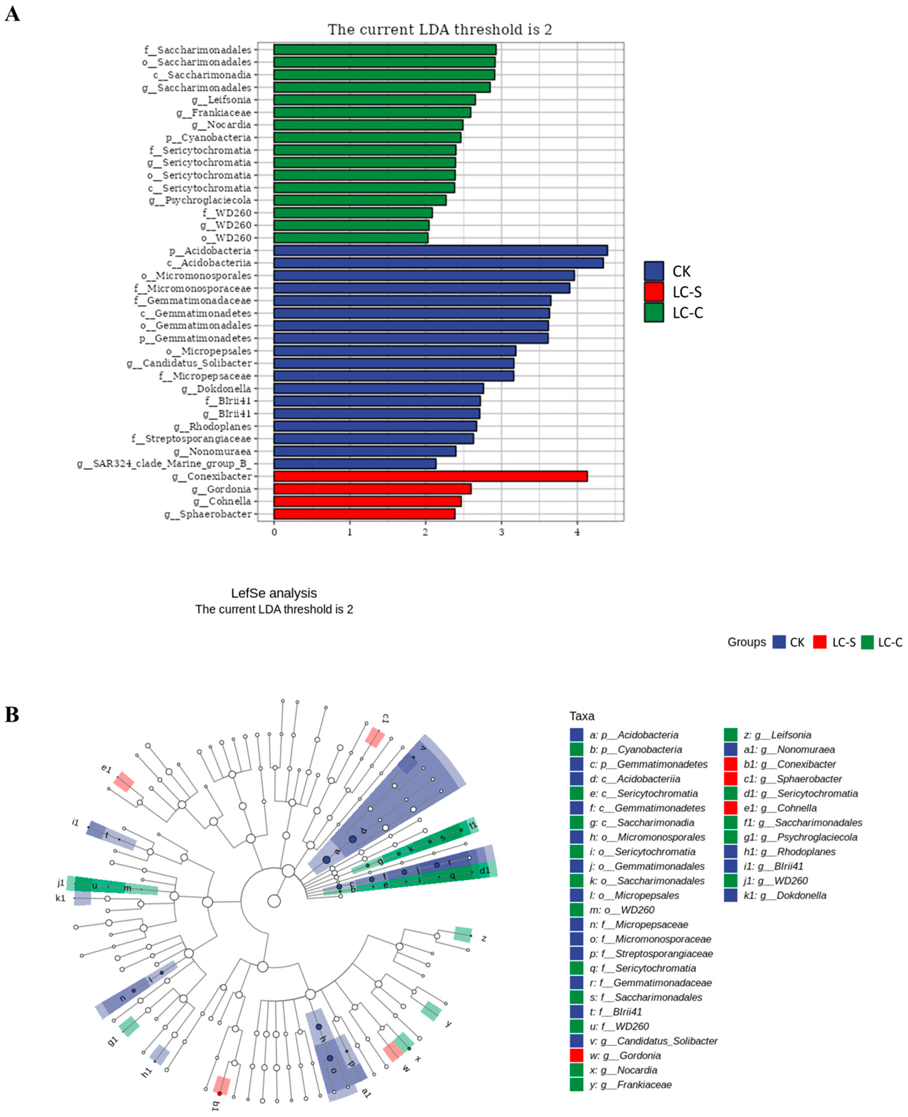 Agronomy 15 02217 g012