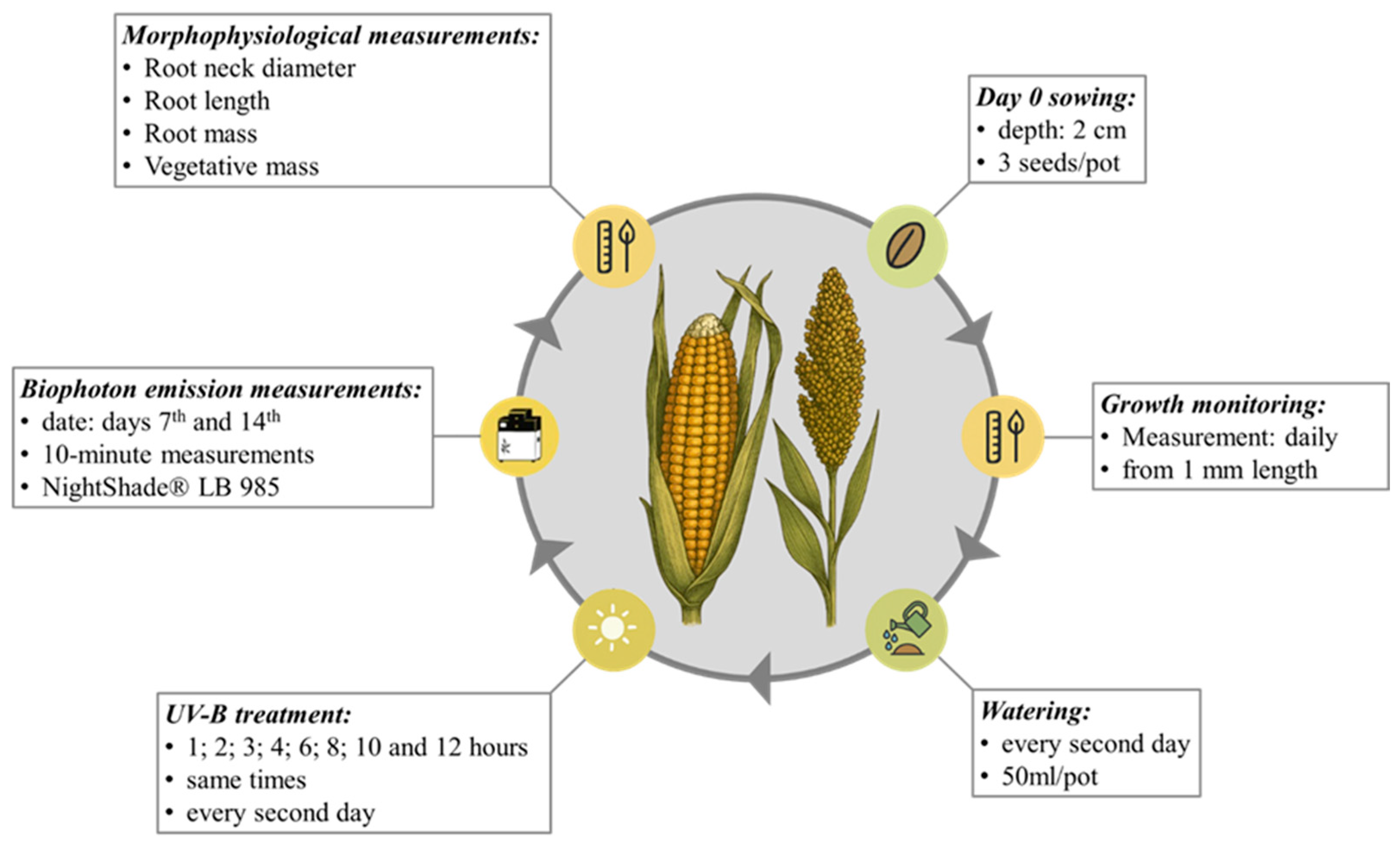 Agronomy 15 02224 g001