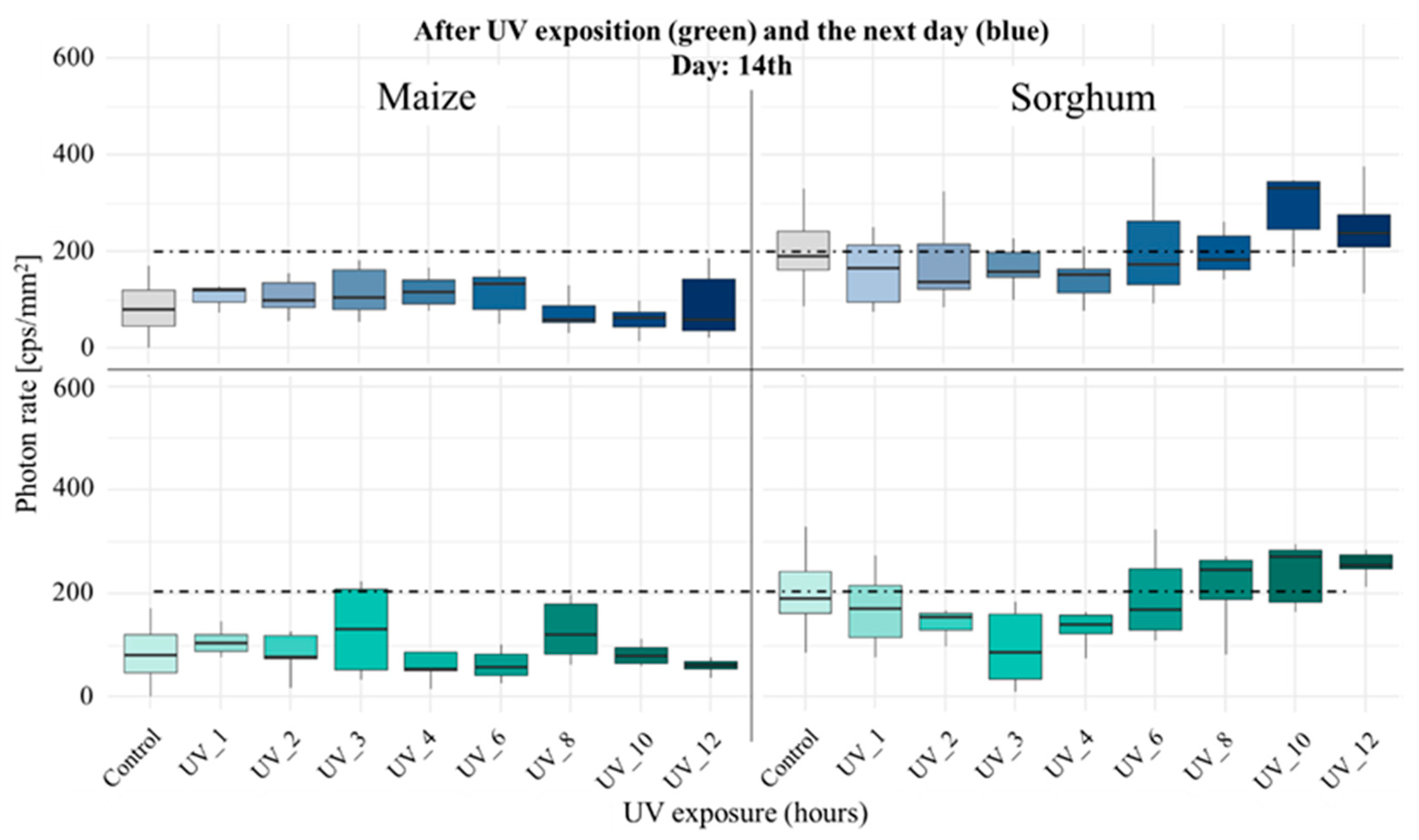 Agronomy 15 02224 g008